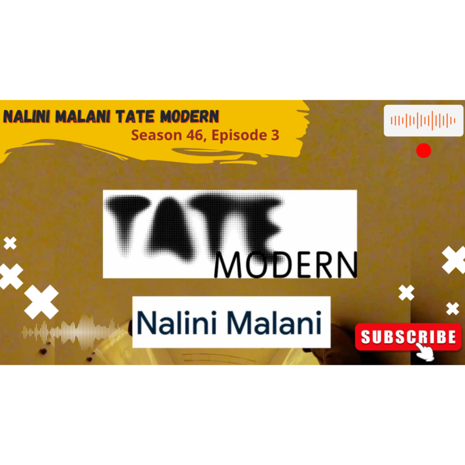 Nalini Malani Tate Modern (Season 46, Episode 3) episode artwork