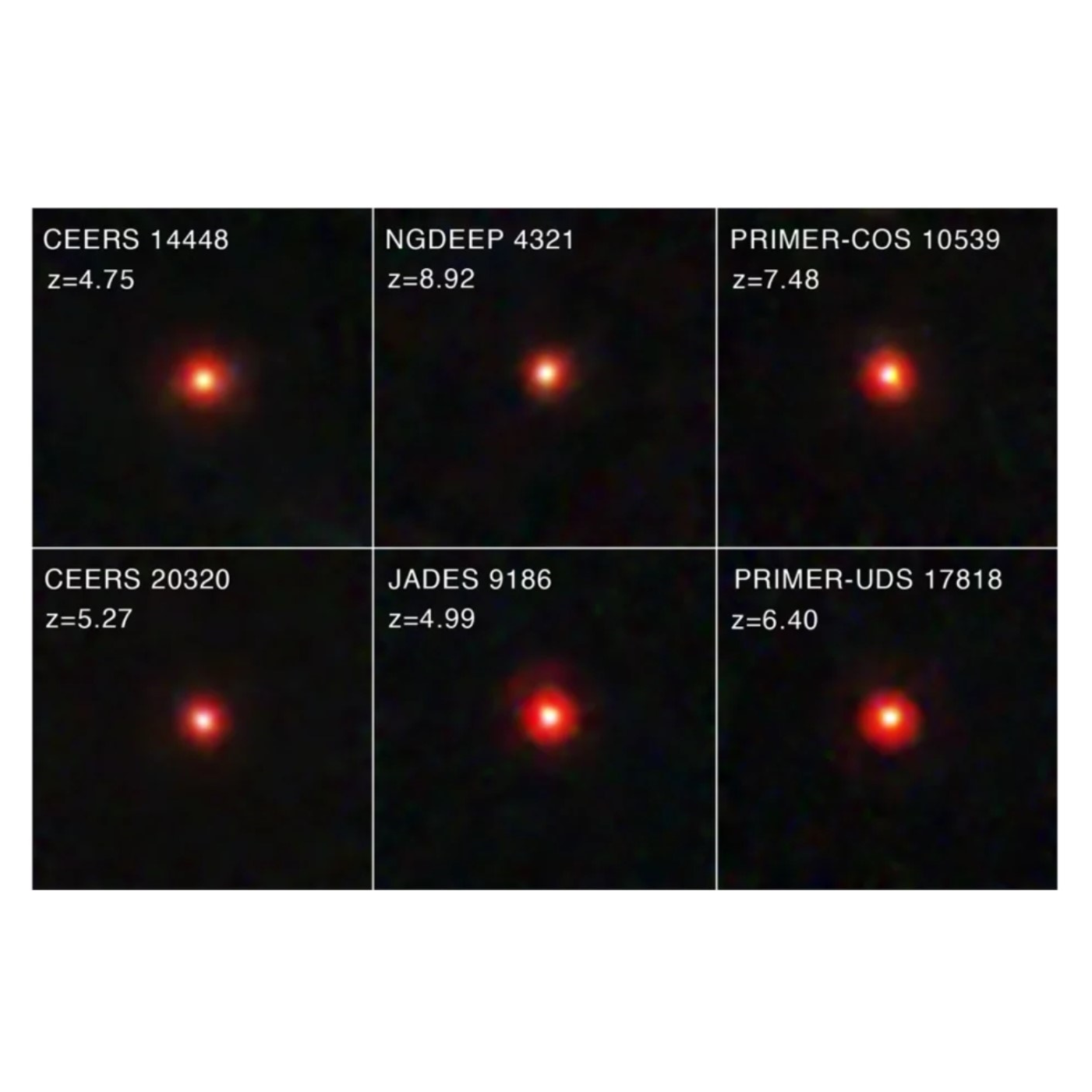 The Taurus Report