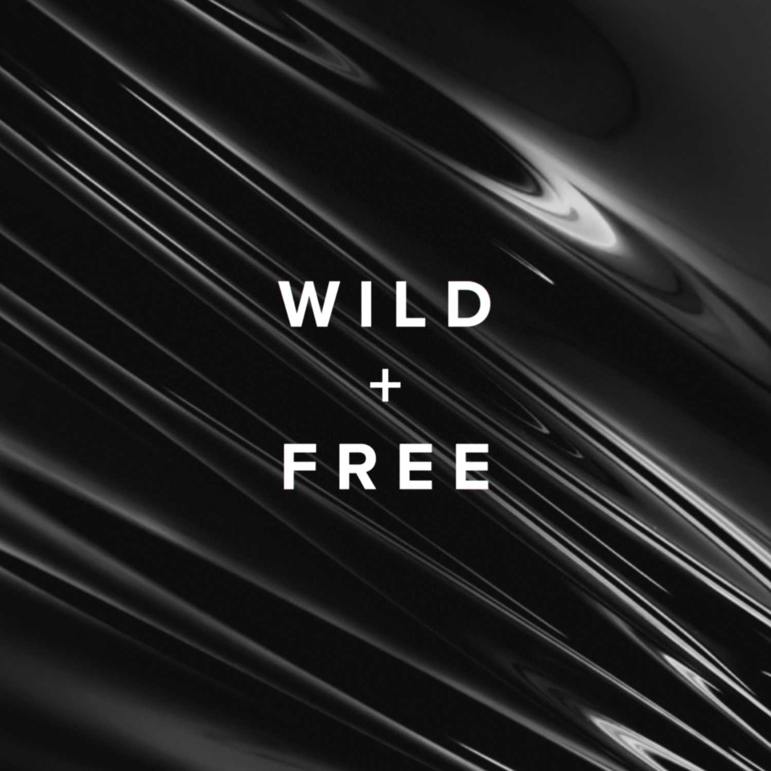 Wild + Free