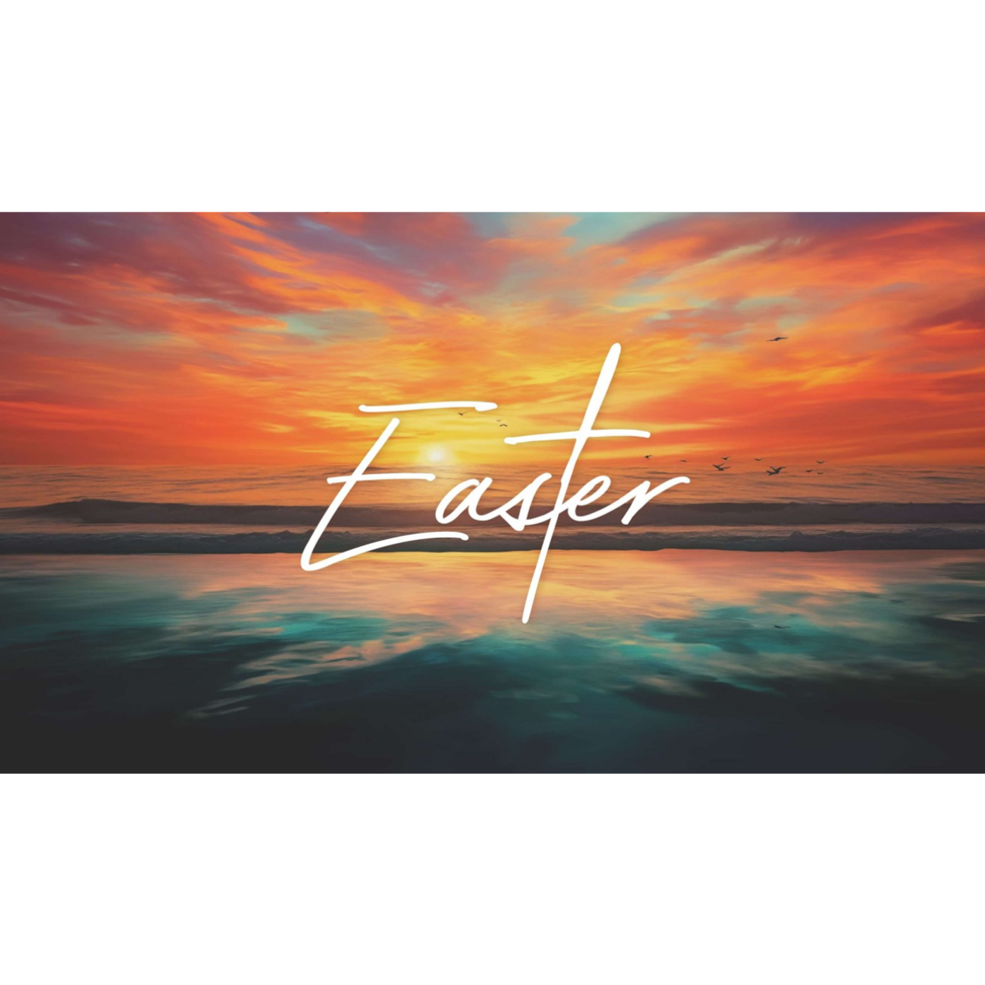 Come and See, Go and Tell:  Session 4 - Making The Case