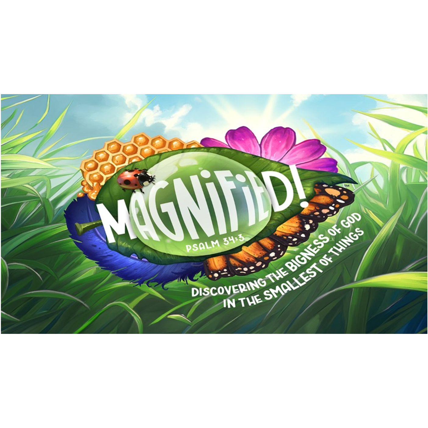 VBS Celebration Service