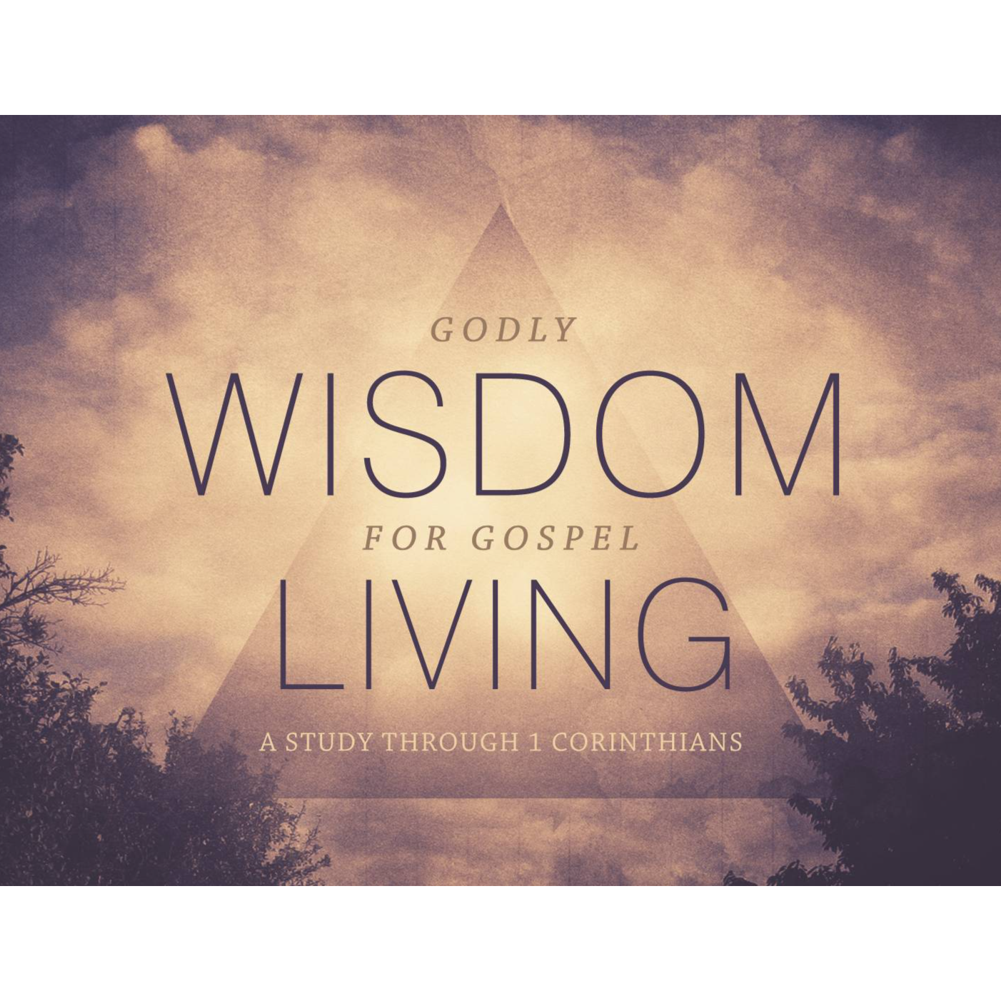 Godly Wisdom for Gospel Living: Session 30 - The More Excellent Way