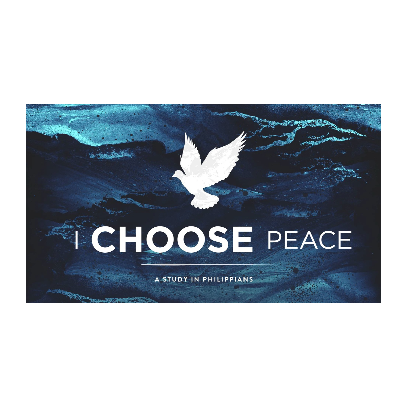 I Choose Peace: Session 5 - In A Materialistic Culture