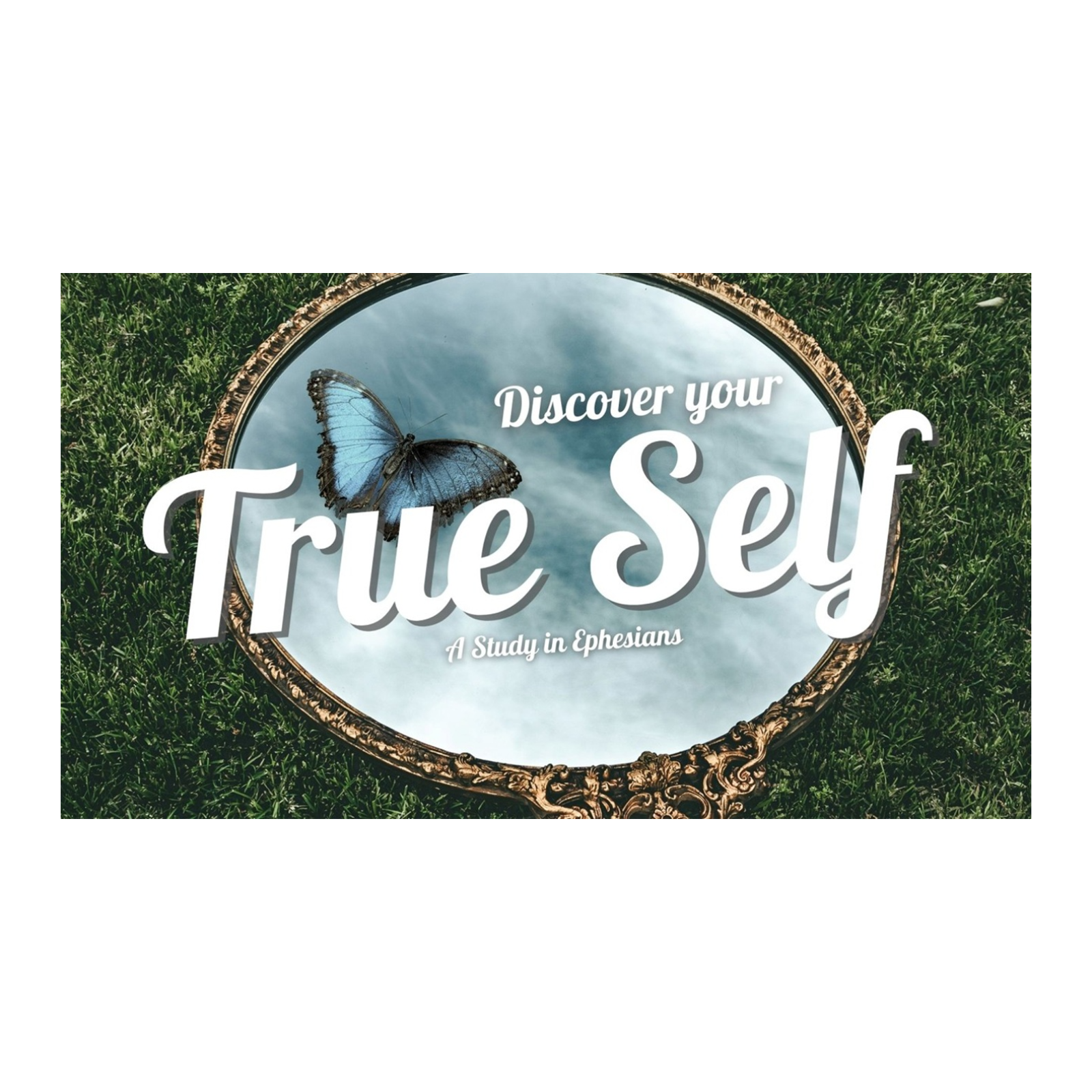 Discover Your True Self: Session 2 - Insignificance: You are secure