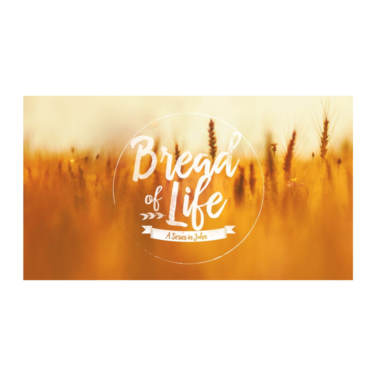 That You May Believe Series - Session 21: Bread Of Heaven