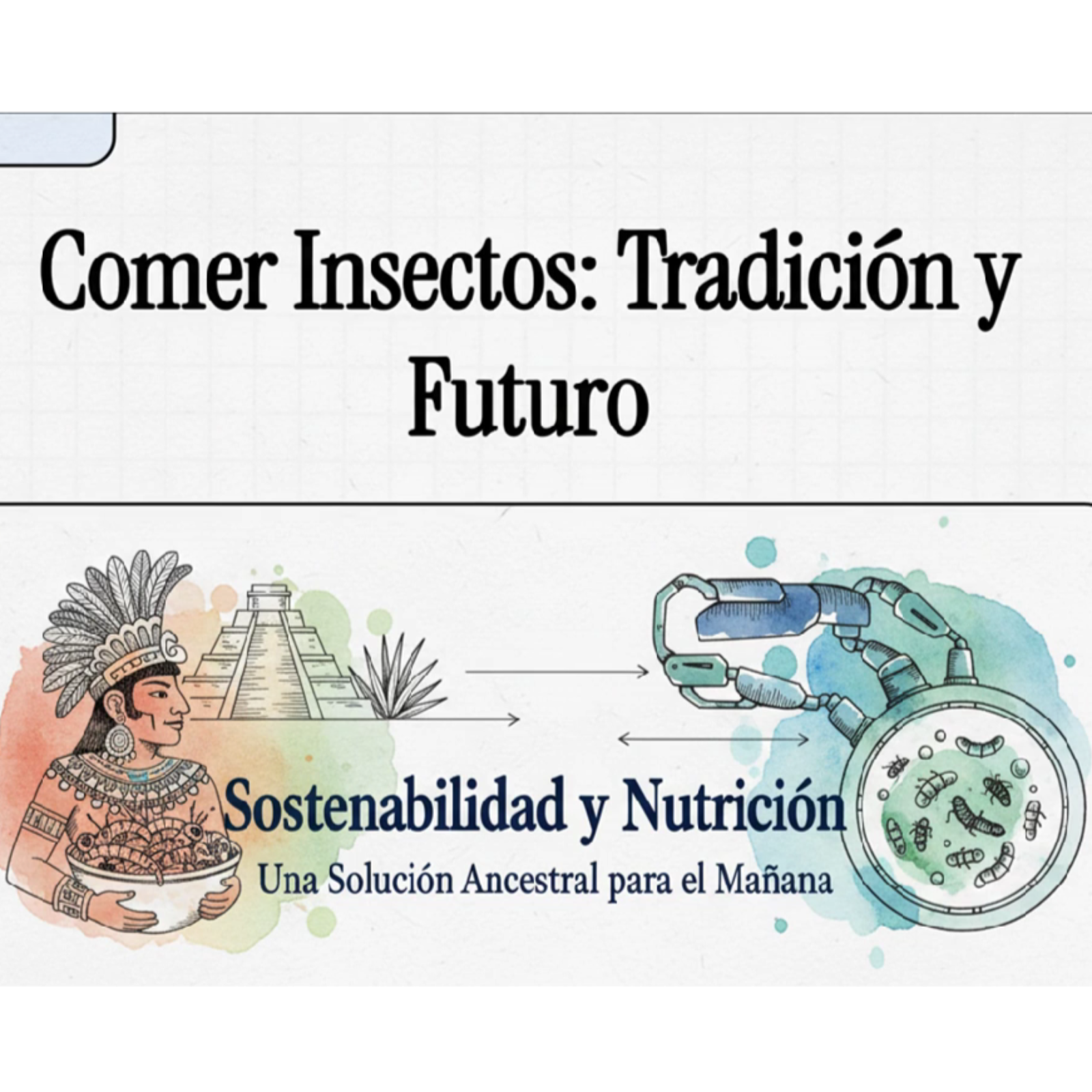 Comer Insectos - Entomofagia Mexicana De Herencia Ancestral a Solución Alimenticia episode artwork