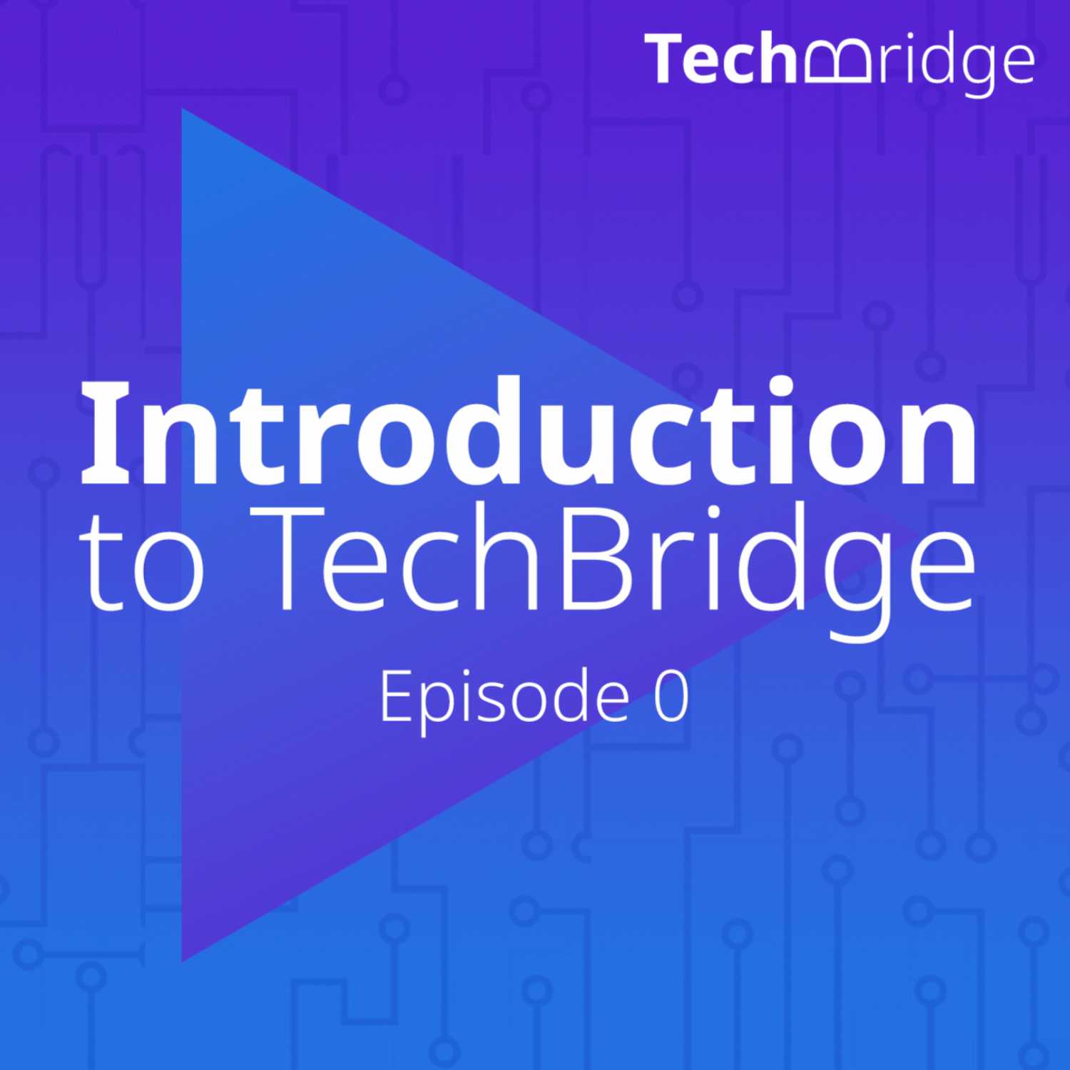 Introduction to TechBridge