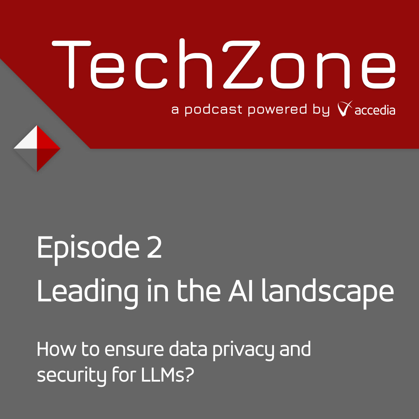 Leading in the AI Landscape - Data and Security for LLM-s | TechZone EP 2