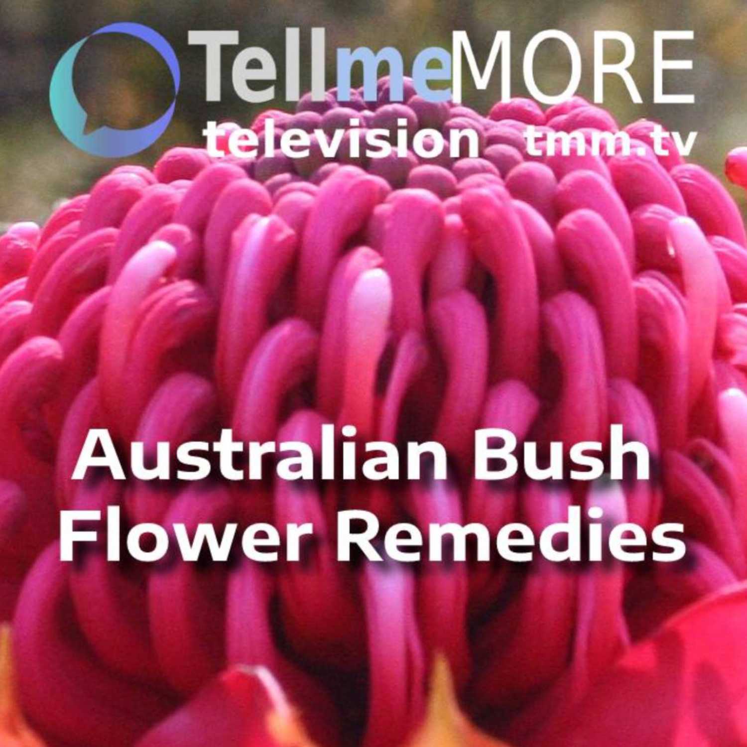 Tell Me More Television