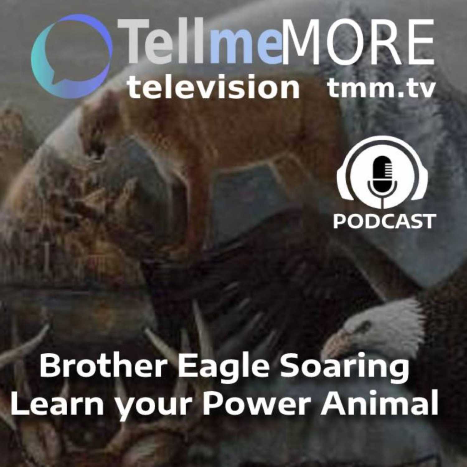 Tell Me More Television