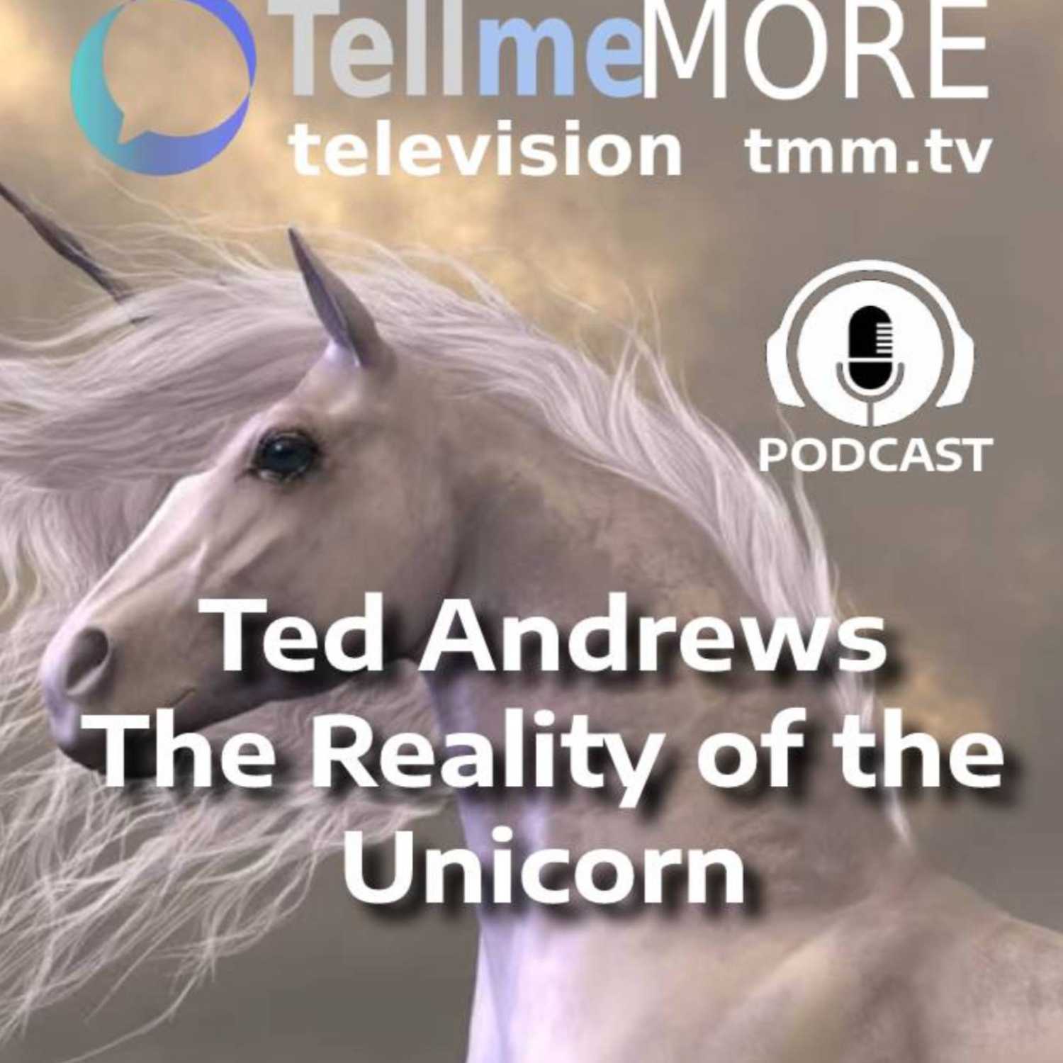 Tell Me More Television