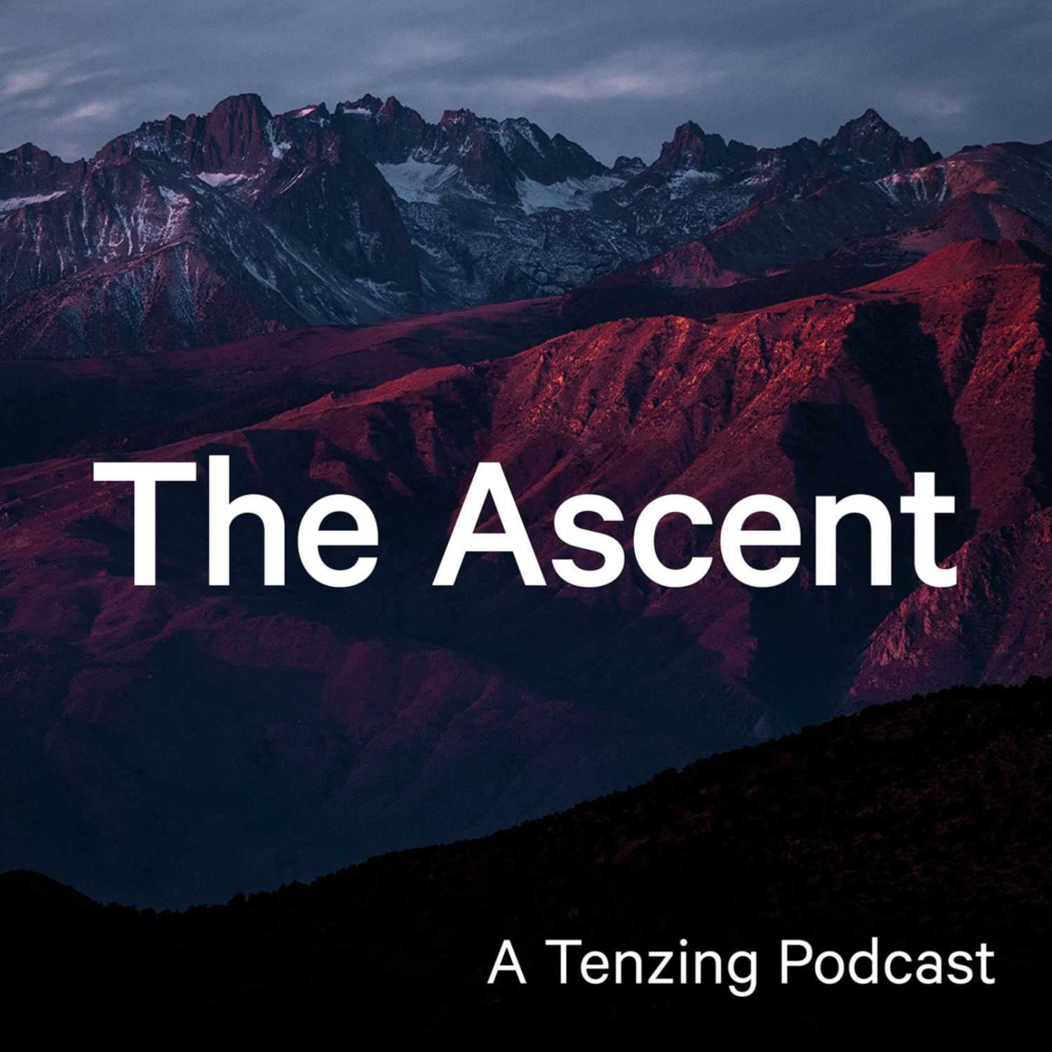 Caroline Plumb talks networks, playing devil’s advocate and Mongolian heritage