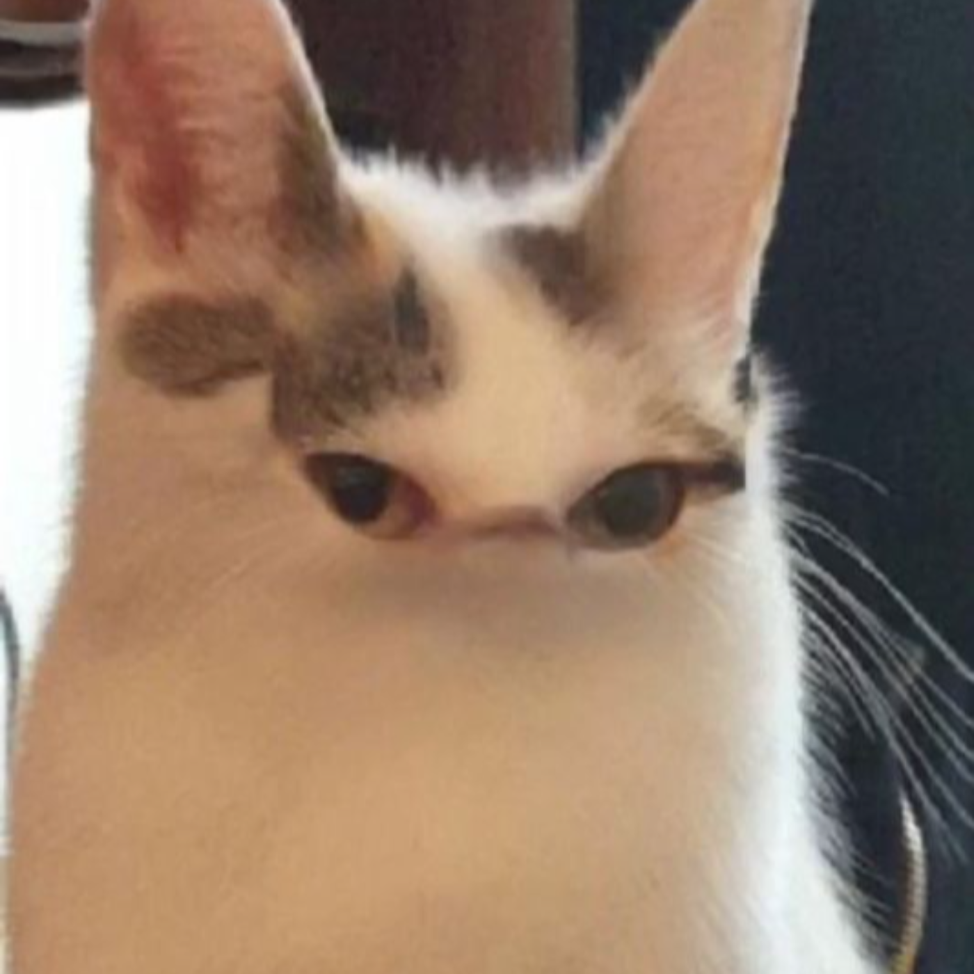 TERABITE!'s awesome sauce pod