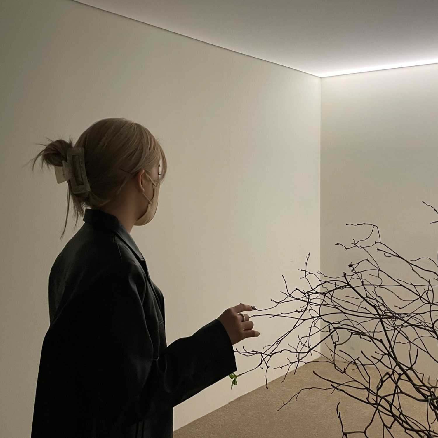 certified caitlyn classics