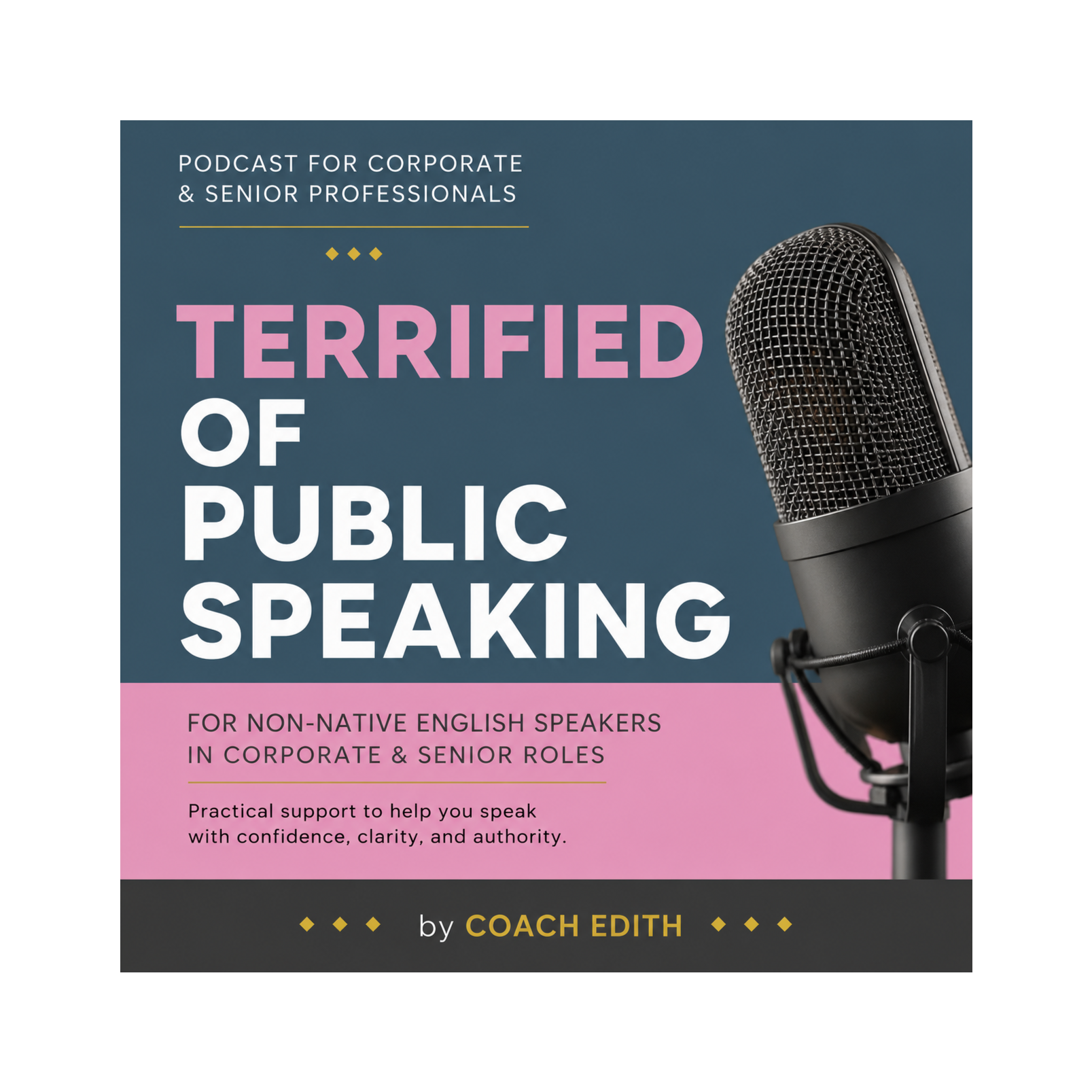 Terrified of Public Speaking: For Senior Professionals