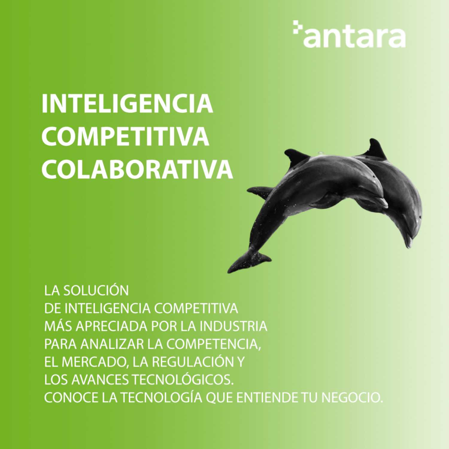 Inteligencia Competitiva para empresas y entidades públicas