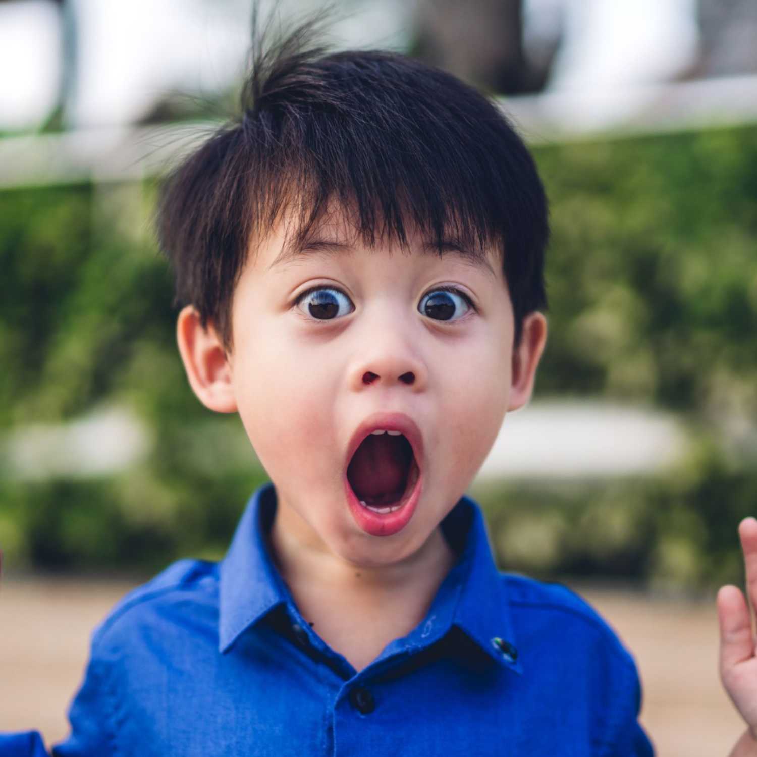 Strategies for Helping Children with ADHD Regulate their Emotions with Dr. Melissa Tabin