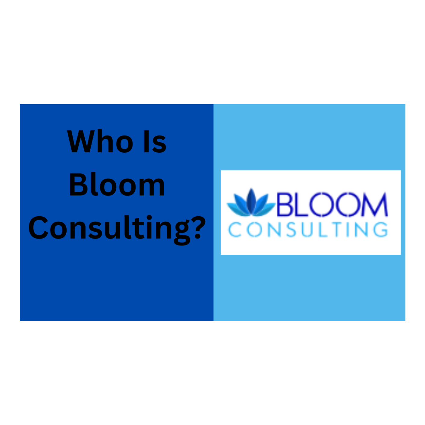 A Conversation with Roni Jo Frazier from Bloom Consulting