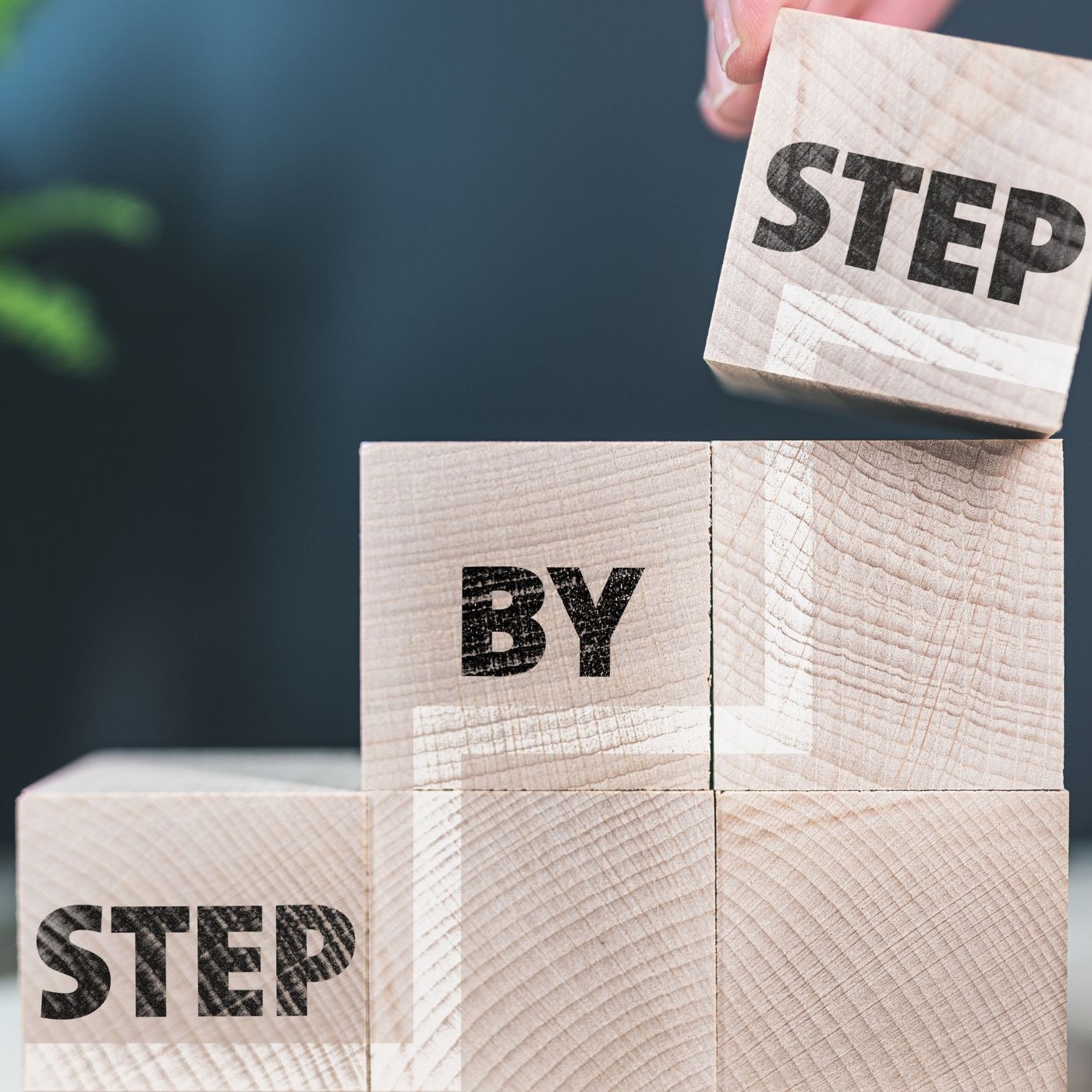 Special Needs Planning - Key Steps to Transition Success