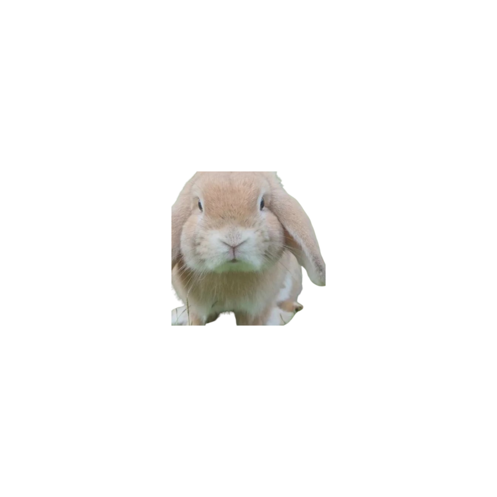testing
