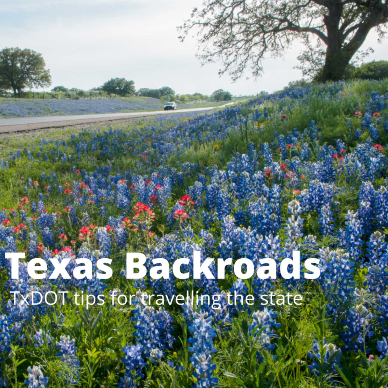 Travelling Texas Backroads