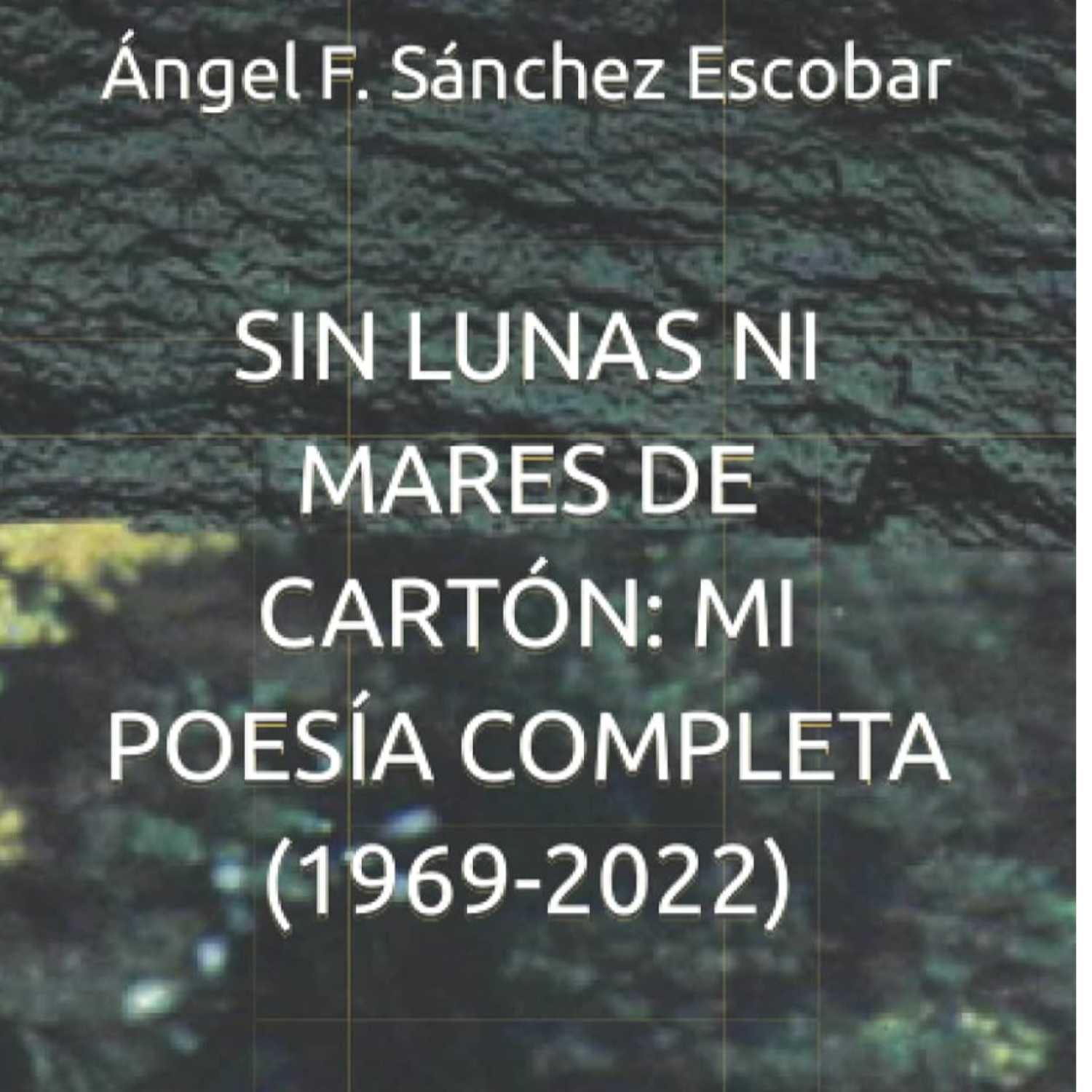 Reseñas, introducciones y pasajes de obras creativas y ensayísticas mías y de autores conocidos.