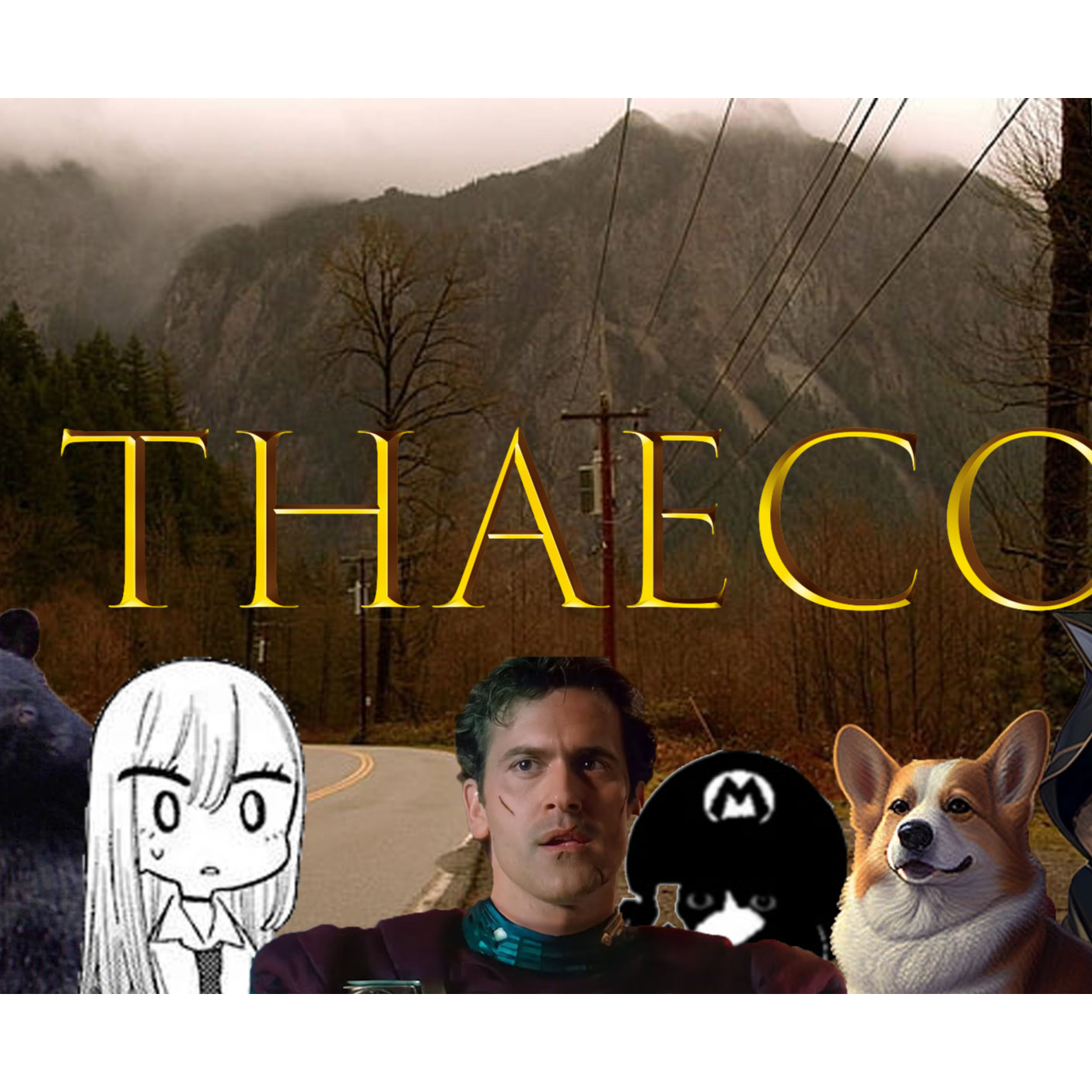 THAECO Podcast podcast artwork