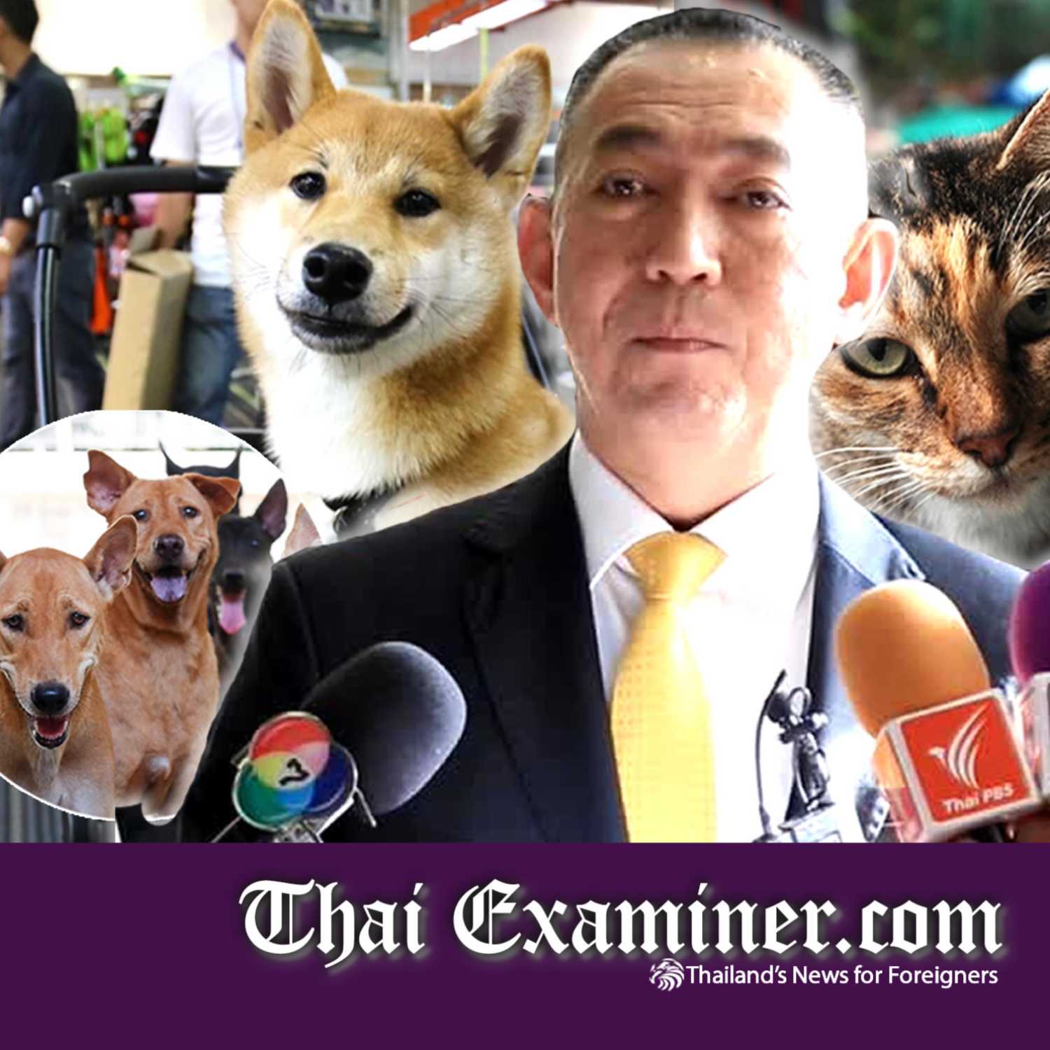 Plan to knock rabies out in Thailand with an army of 8,600 ‘livestock volunteers’ across the kingdom