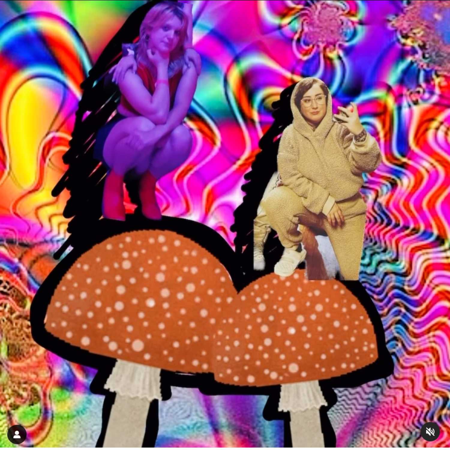 thank you so much for: magic mushrooms