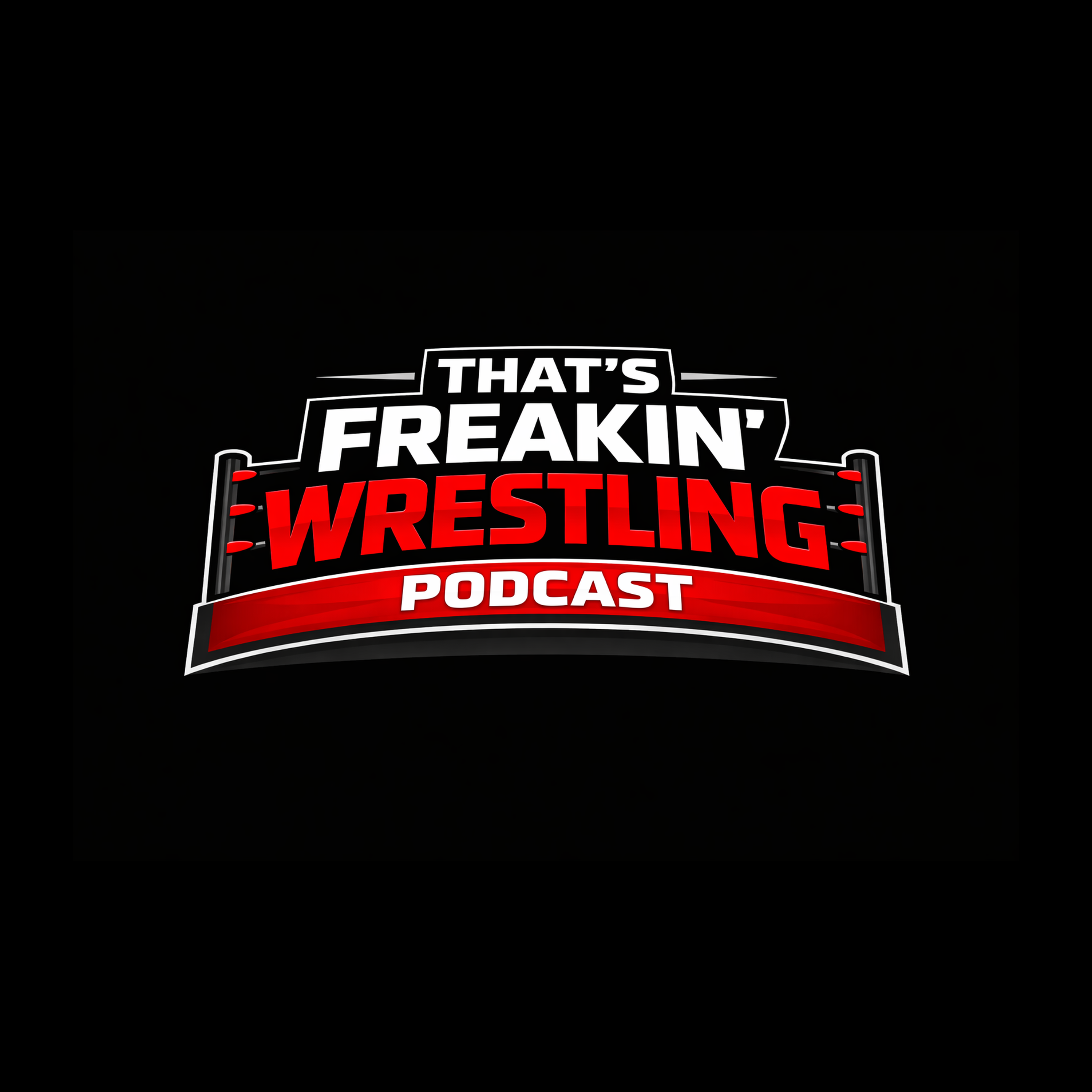 Sami Zayn Gets 9 Days & The 3rd Summer of Punk Is Here   episode artwork