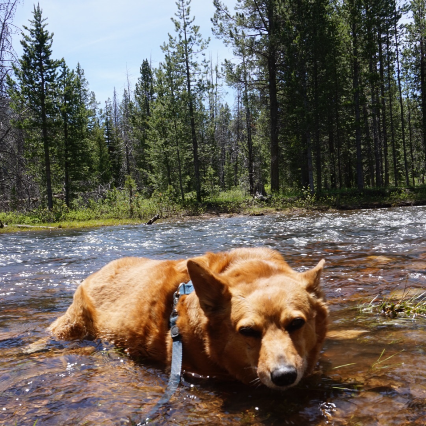 Getting Into the Hard Things