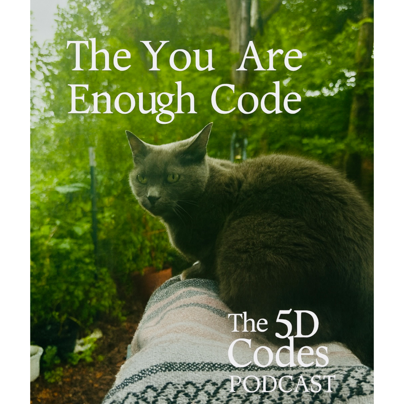 The 5D Codes Podcast