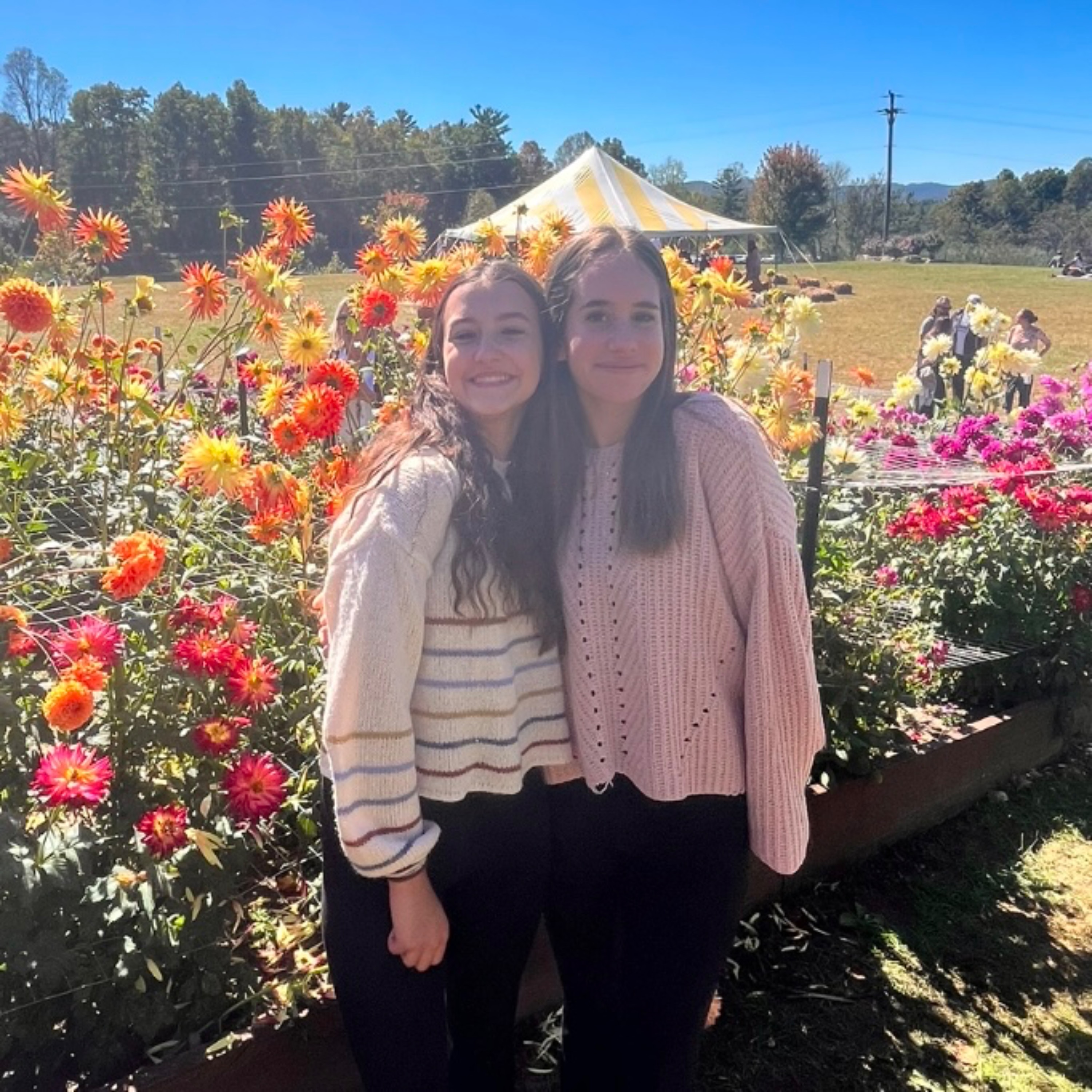 The A&A Show: Everything under the Sun