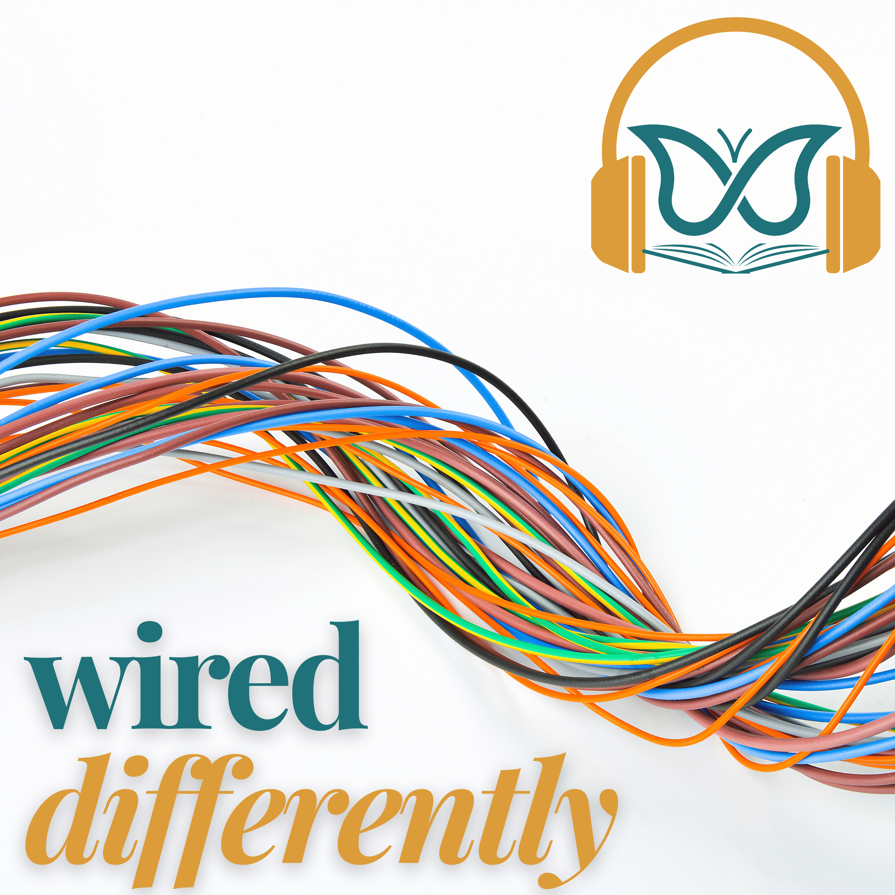 Seen 04 - Wired Differently episode artwork