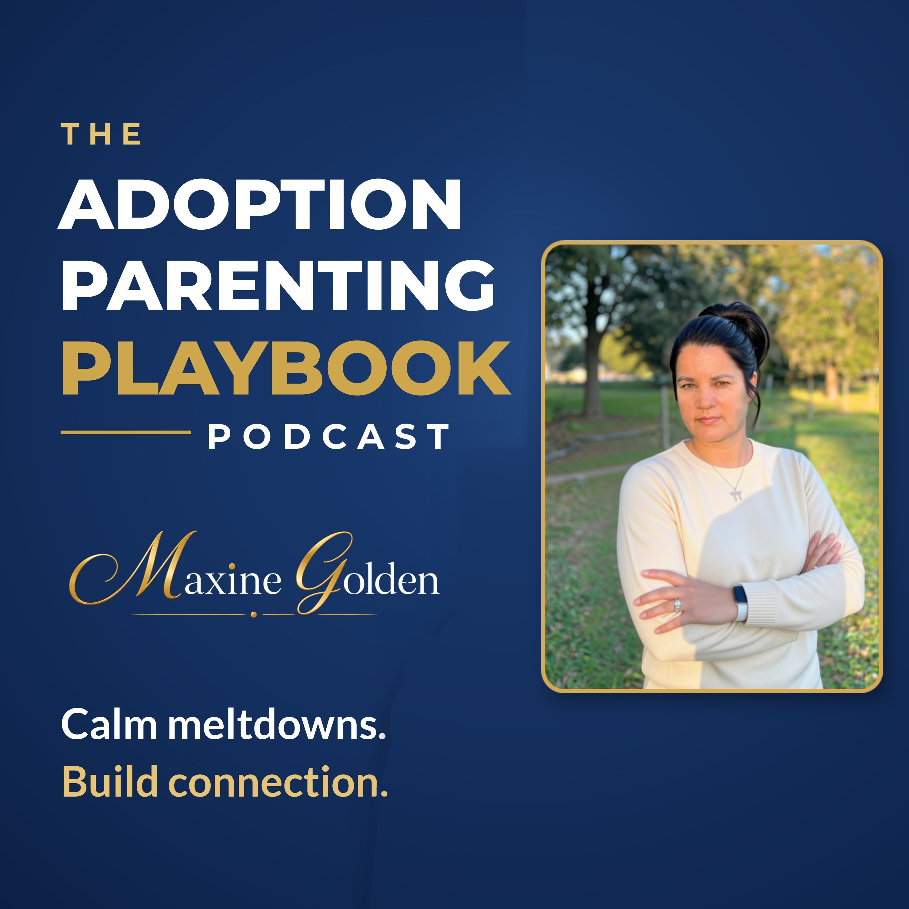 The Adoption Parenting Playbook Podcast cover art