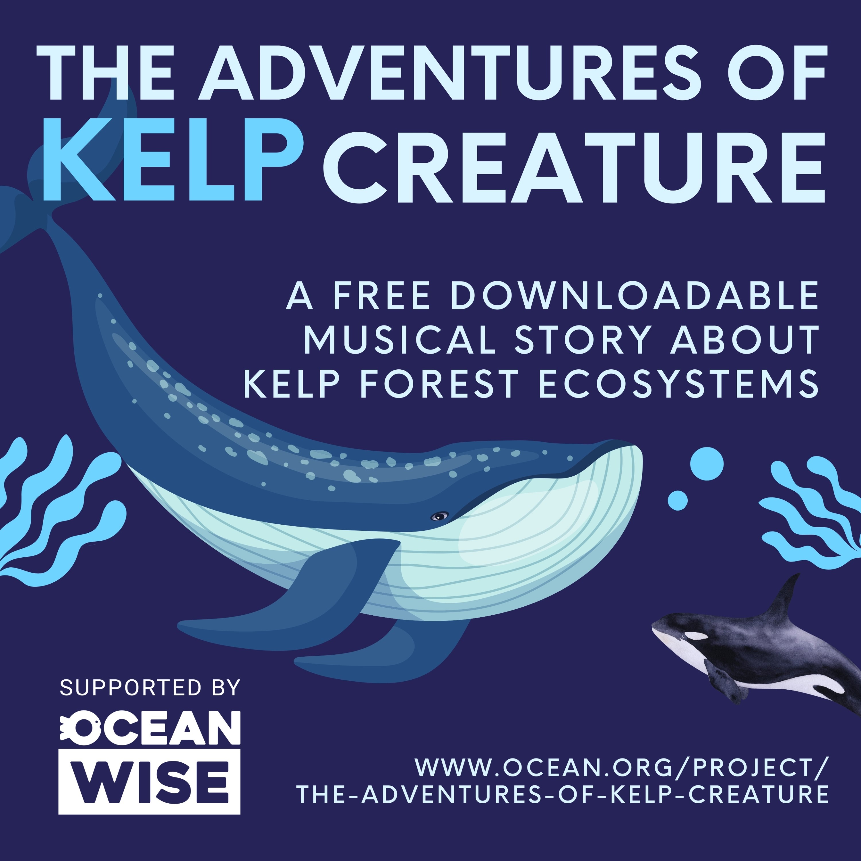 The Adventures of Kelp Creature episode artwork