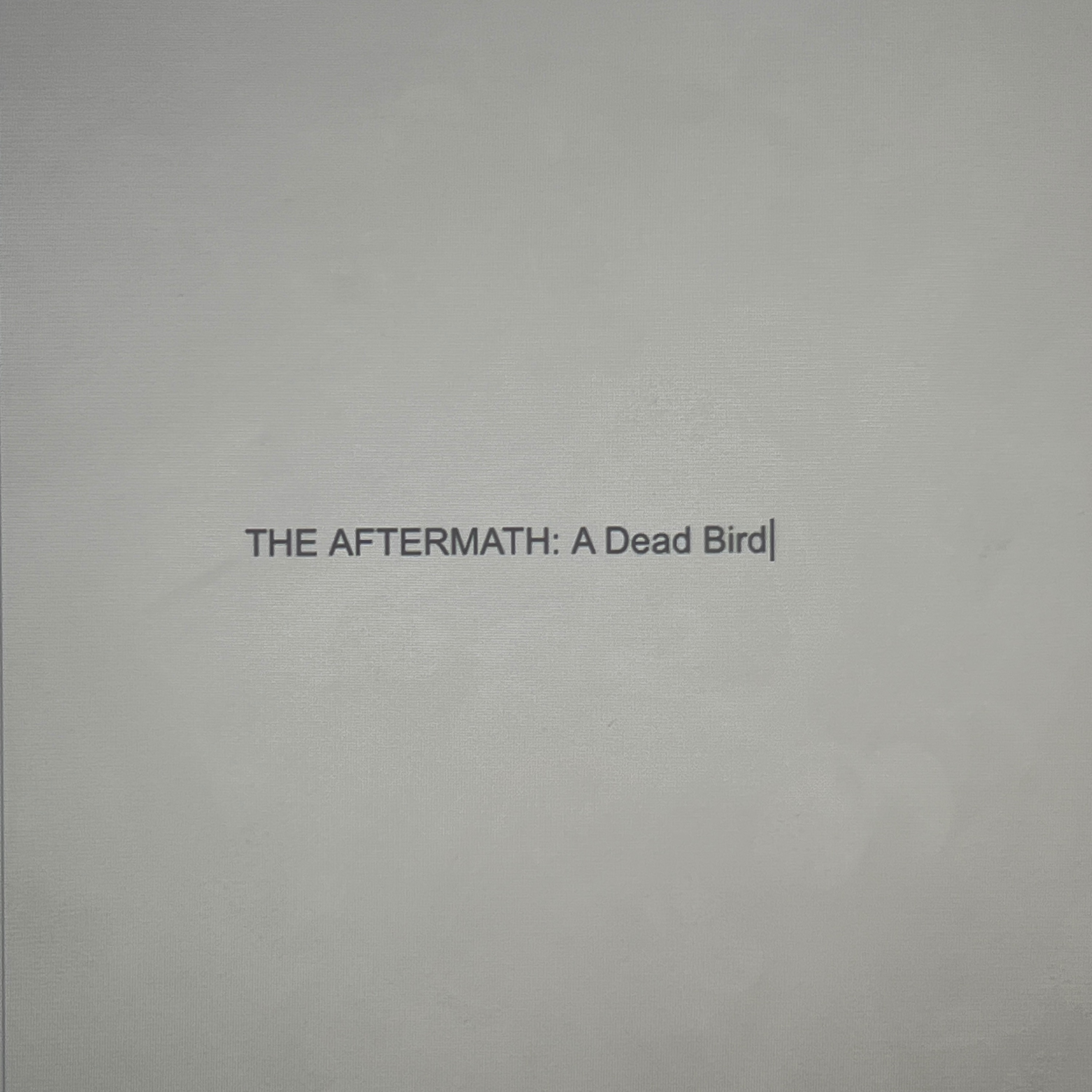 THE AFTERMATH: A Dead Bird Chapter One cover art