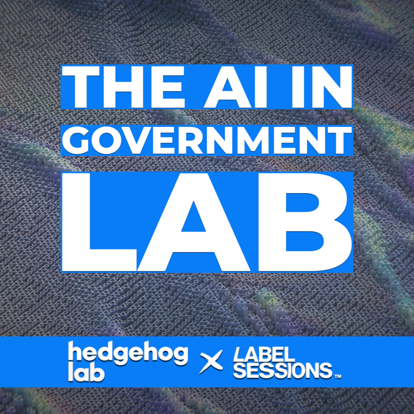 The AI in Government Lab