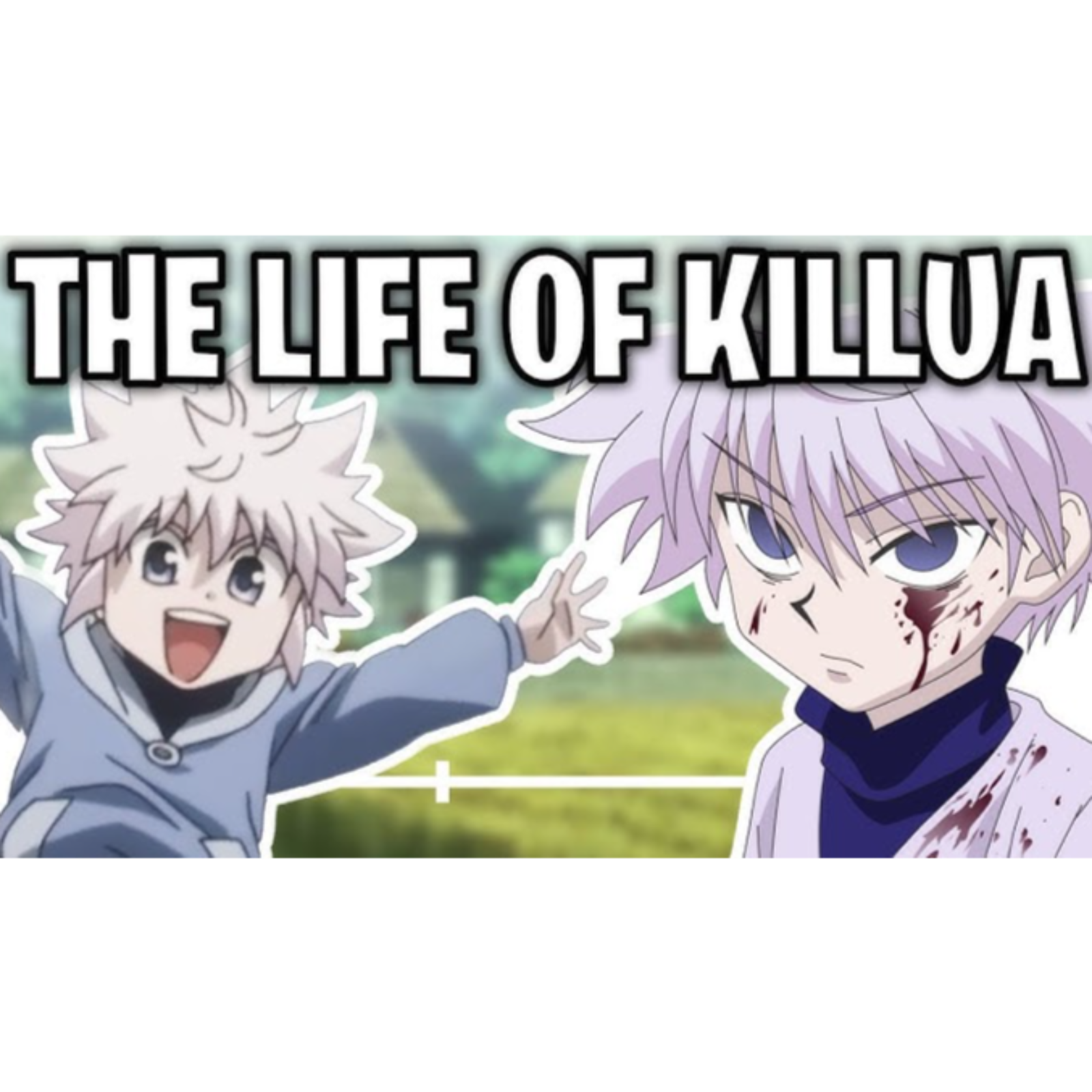 The Life Of Killua Zoldyck (Hunter × Hunter) - The Amagi
