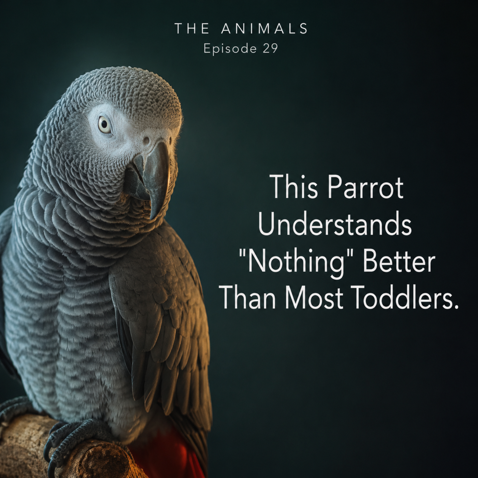 This Parrot Understands 'Nothing' Better Than Most Toddlers episode artwork