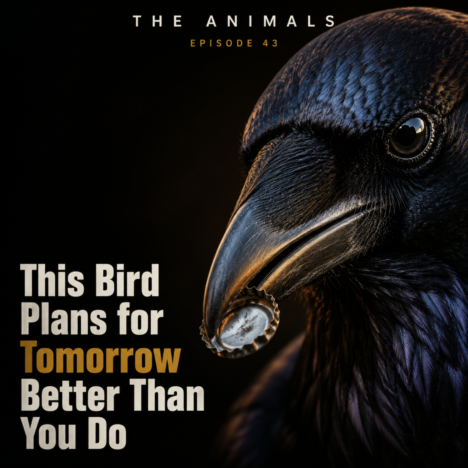Raven Bird Plans for Tomorrow Better Than You Do episode artwork