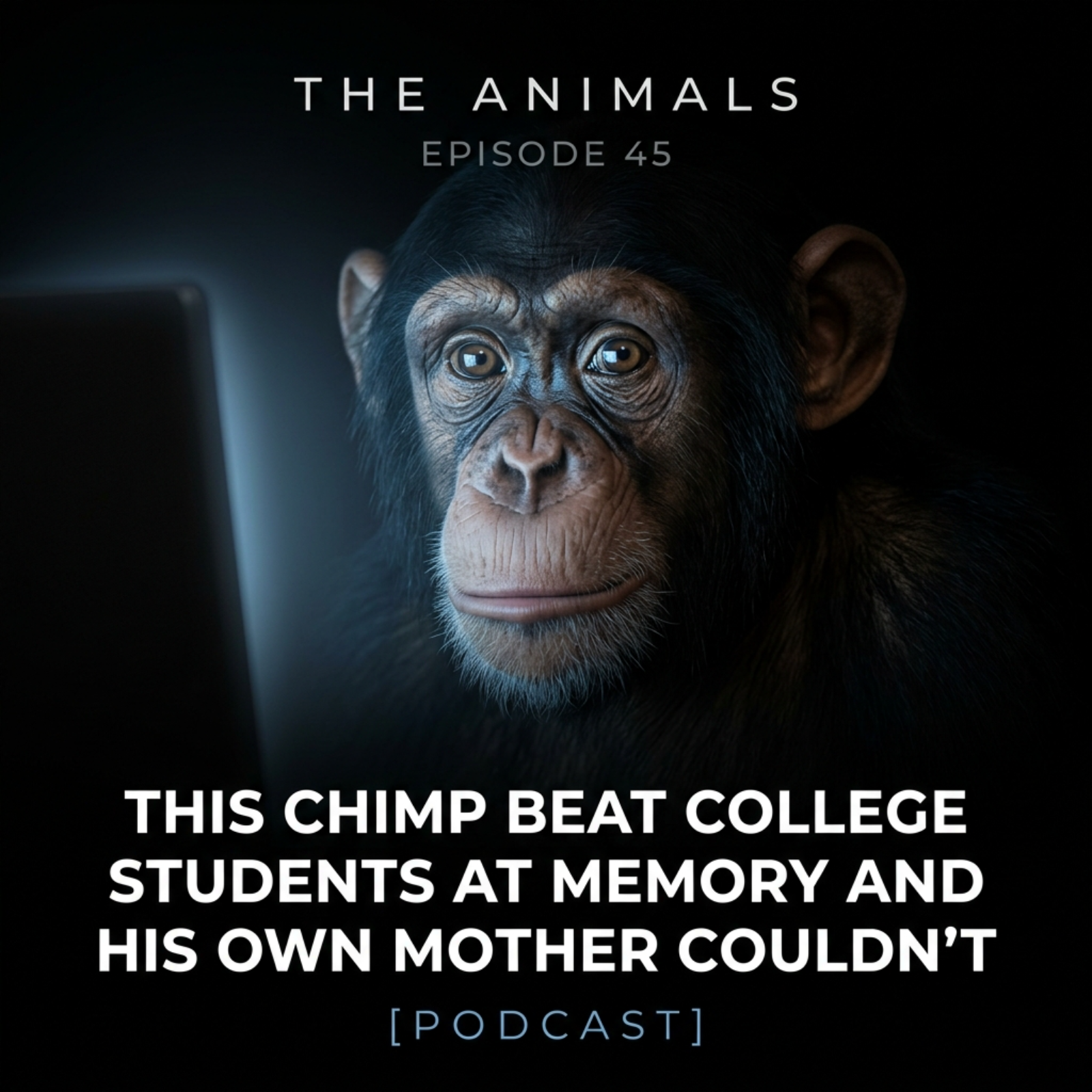 This Chimp Beat College Students At Memory — And His Own Mother Couldn't episode artwork