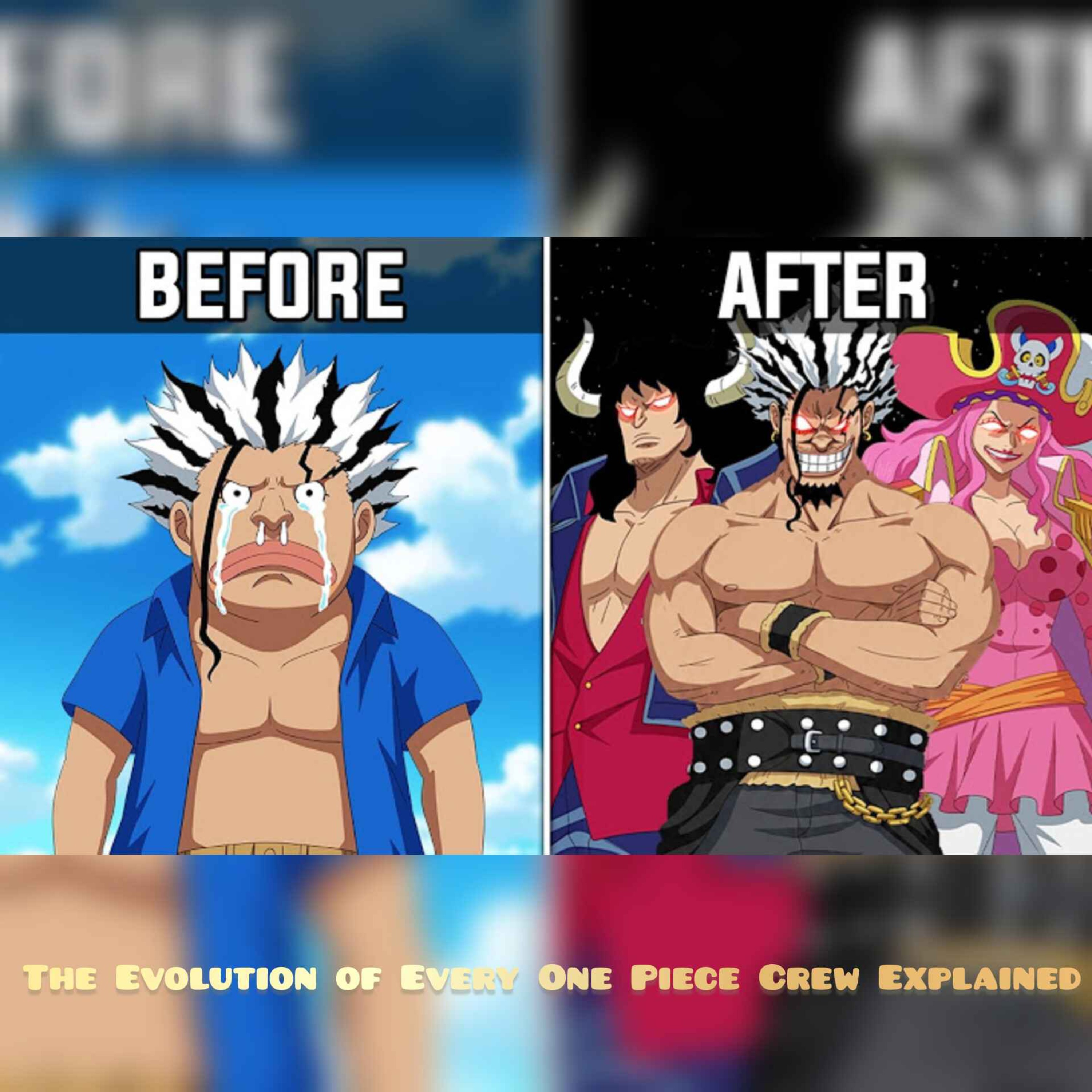 The Evolution of Every One Piece Crew Explained episode artwork