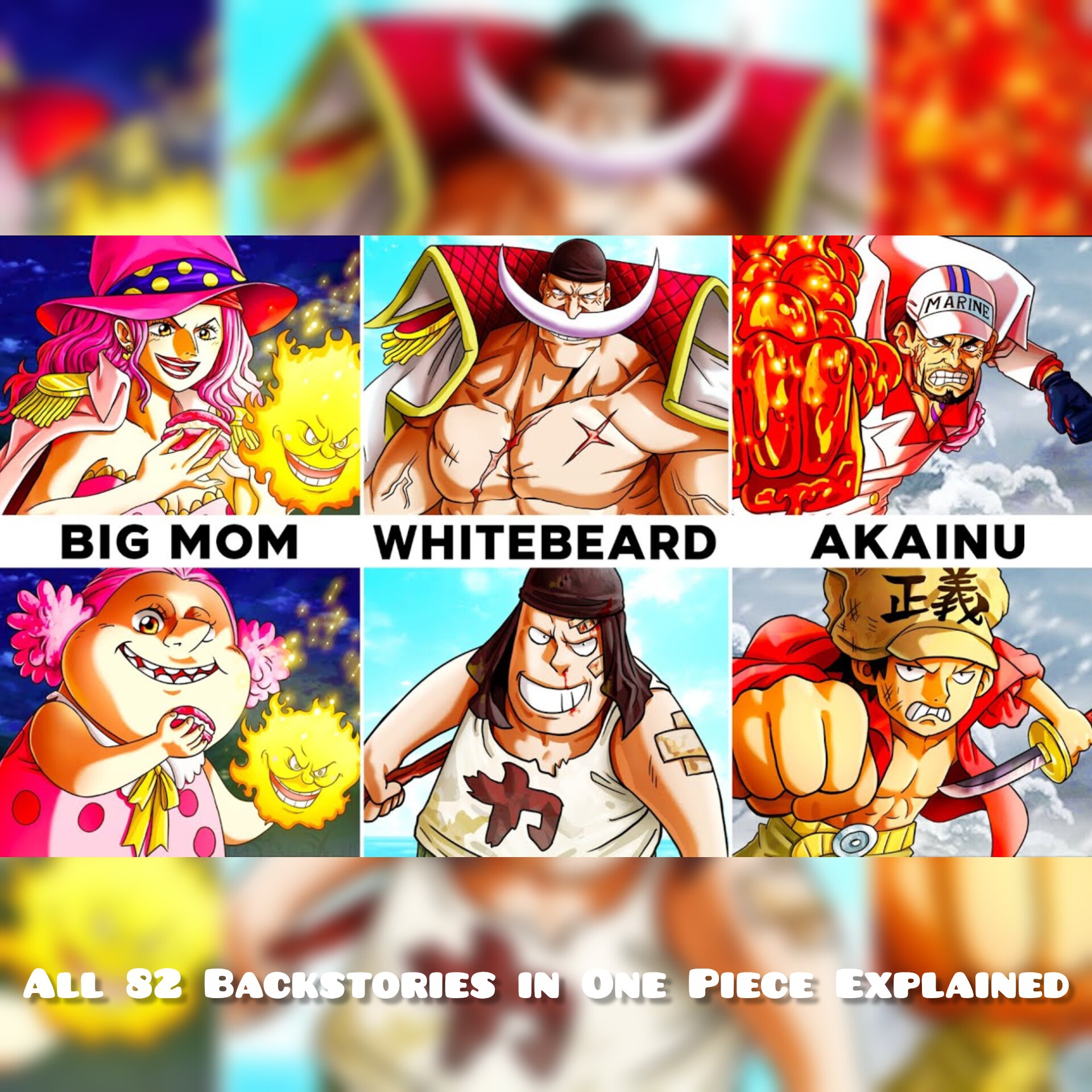 All 82 Backstories in One Piece Explained