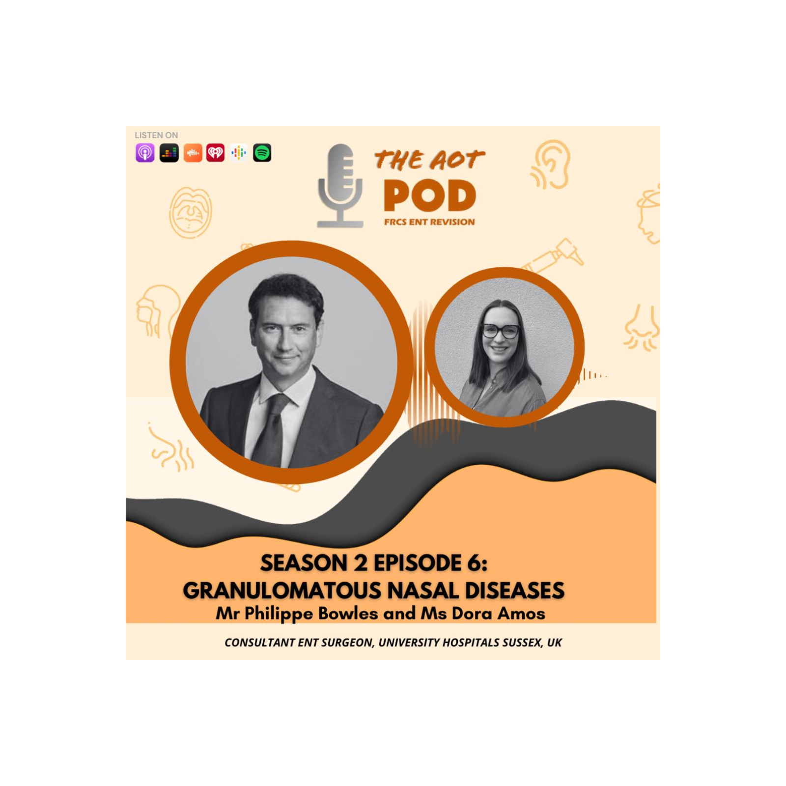 Granulomatous nasal diseases – Mr Philippe Bowles
