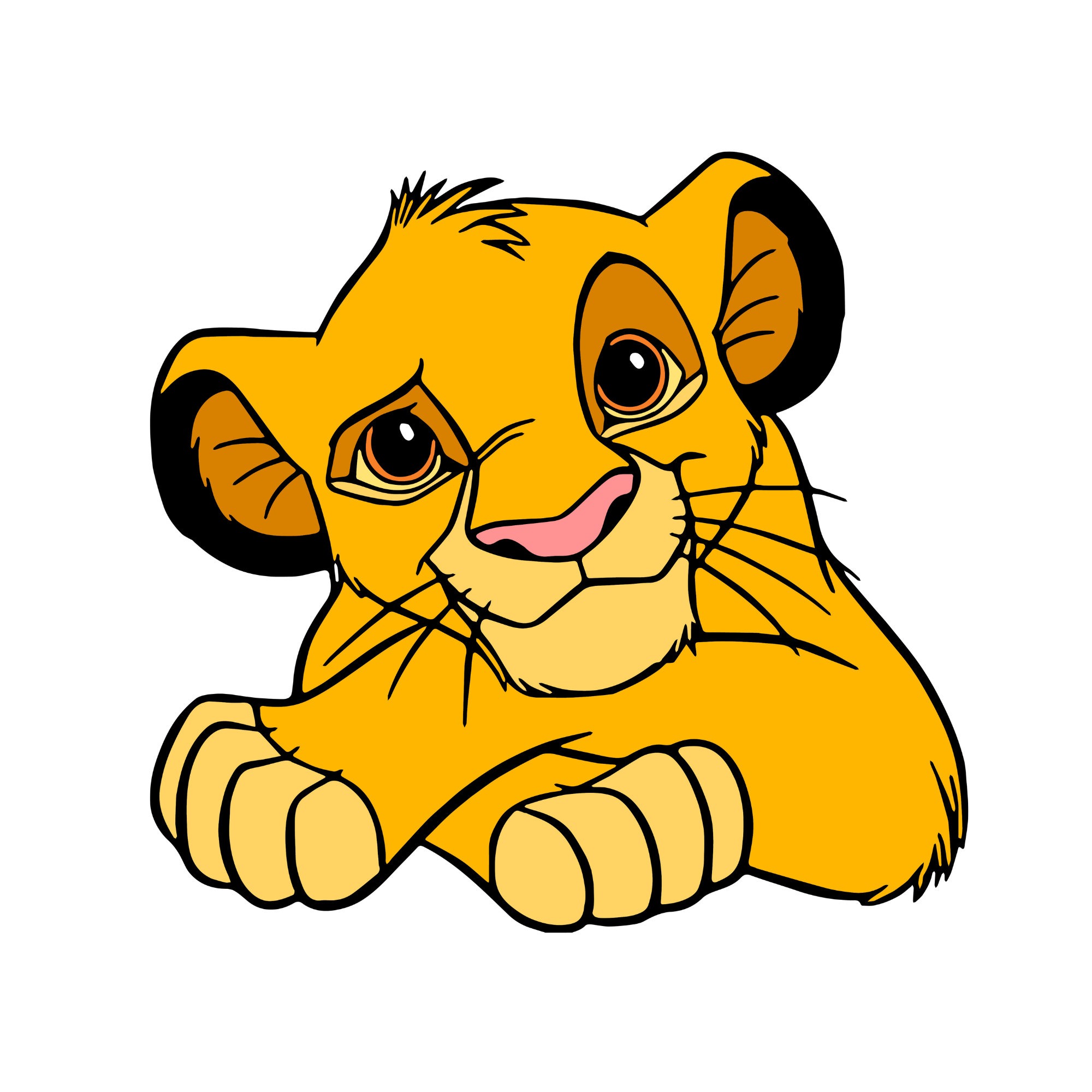 I fell in love with my enemy