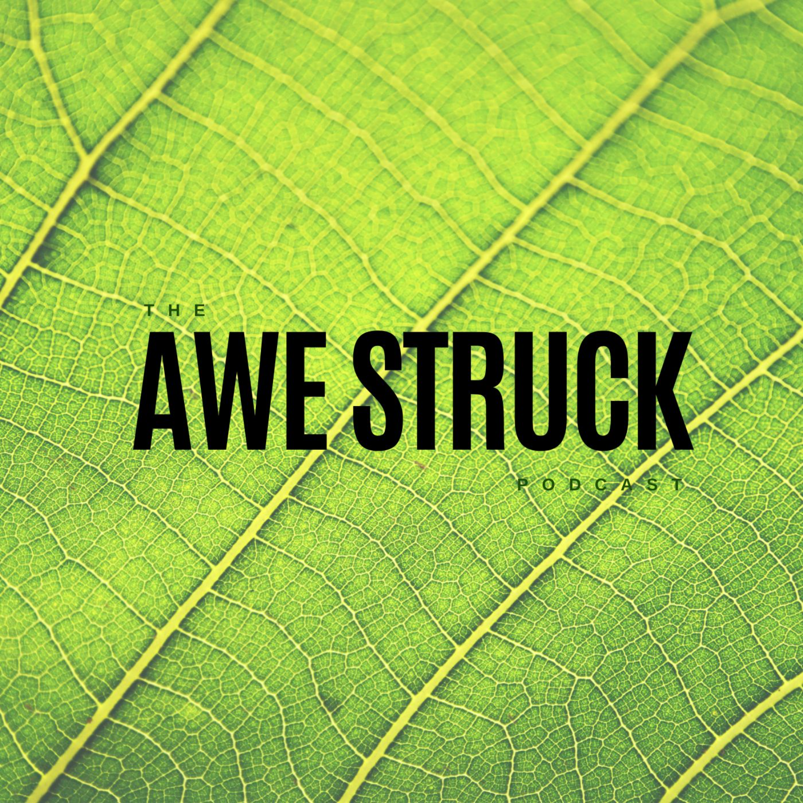 The Awe Struck Podcast
