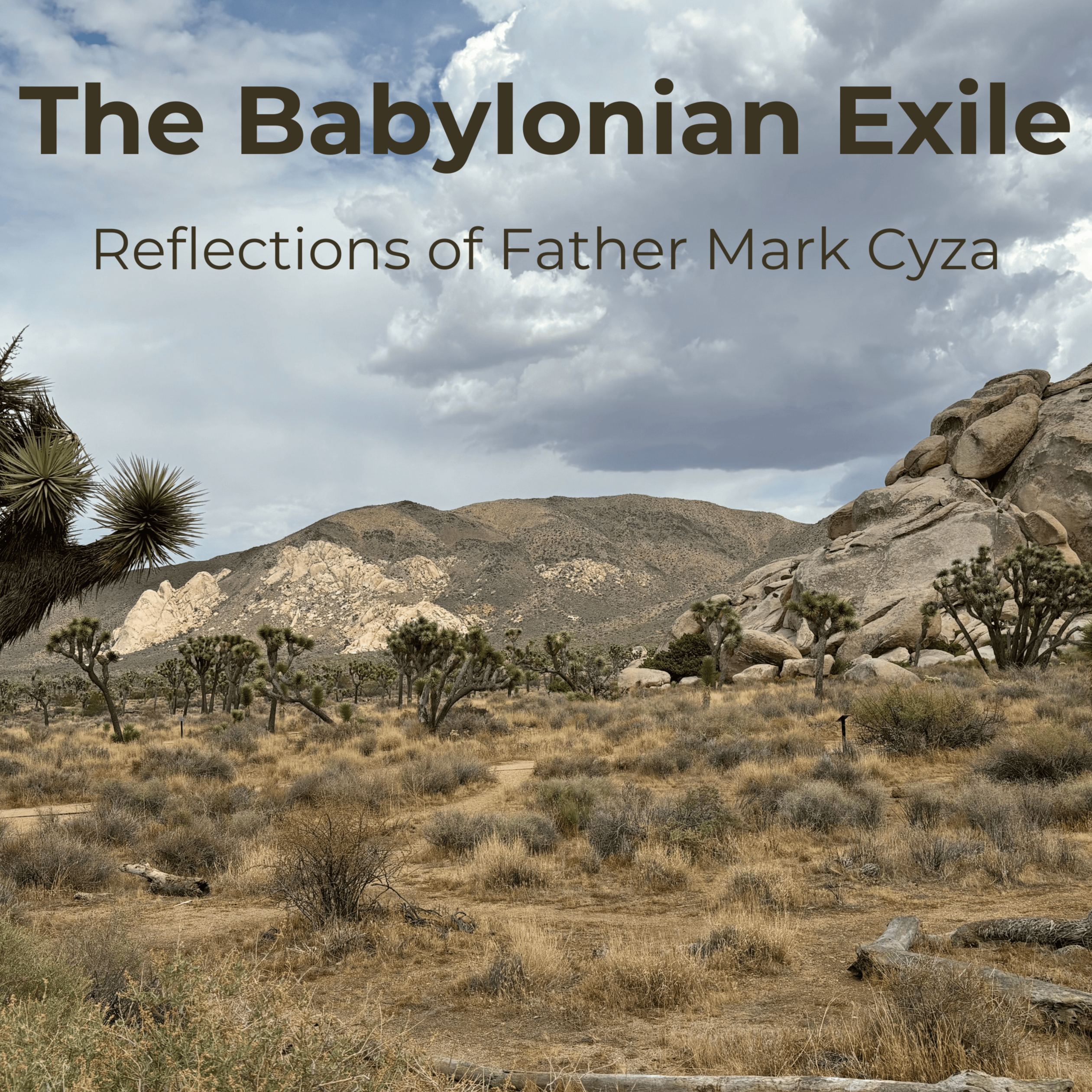 The Babylonian Exile: Reflections of Father Mark Cyza