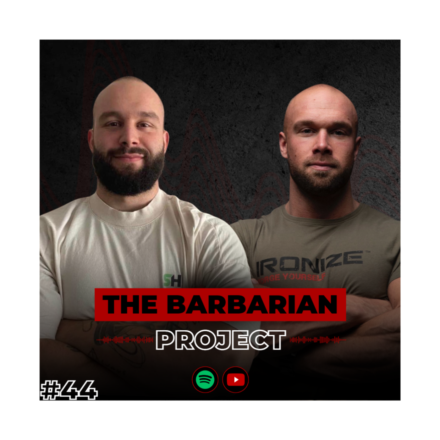 The Barbarian Project