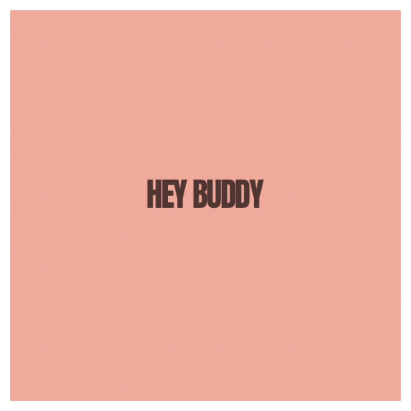 HEY BUDDY
